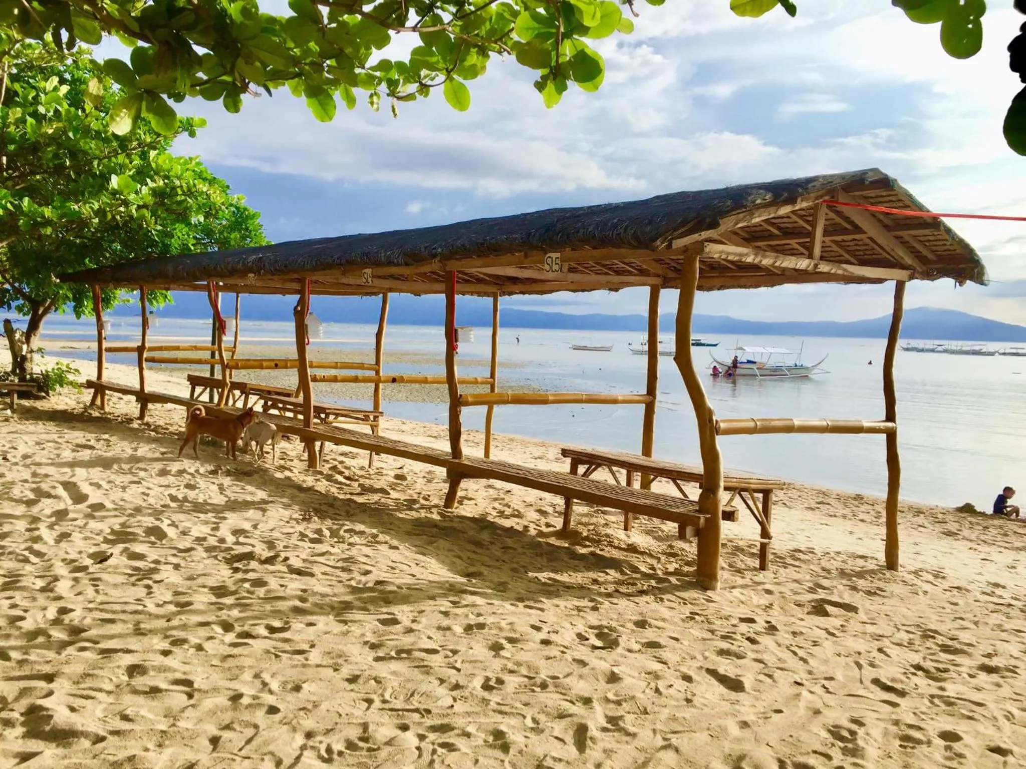 Beach Front Calatagan Apartelle