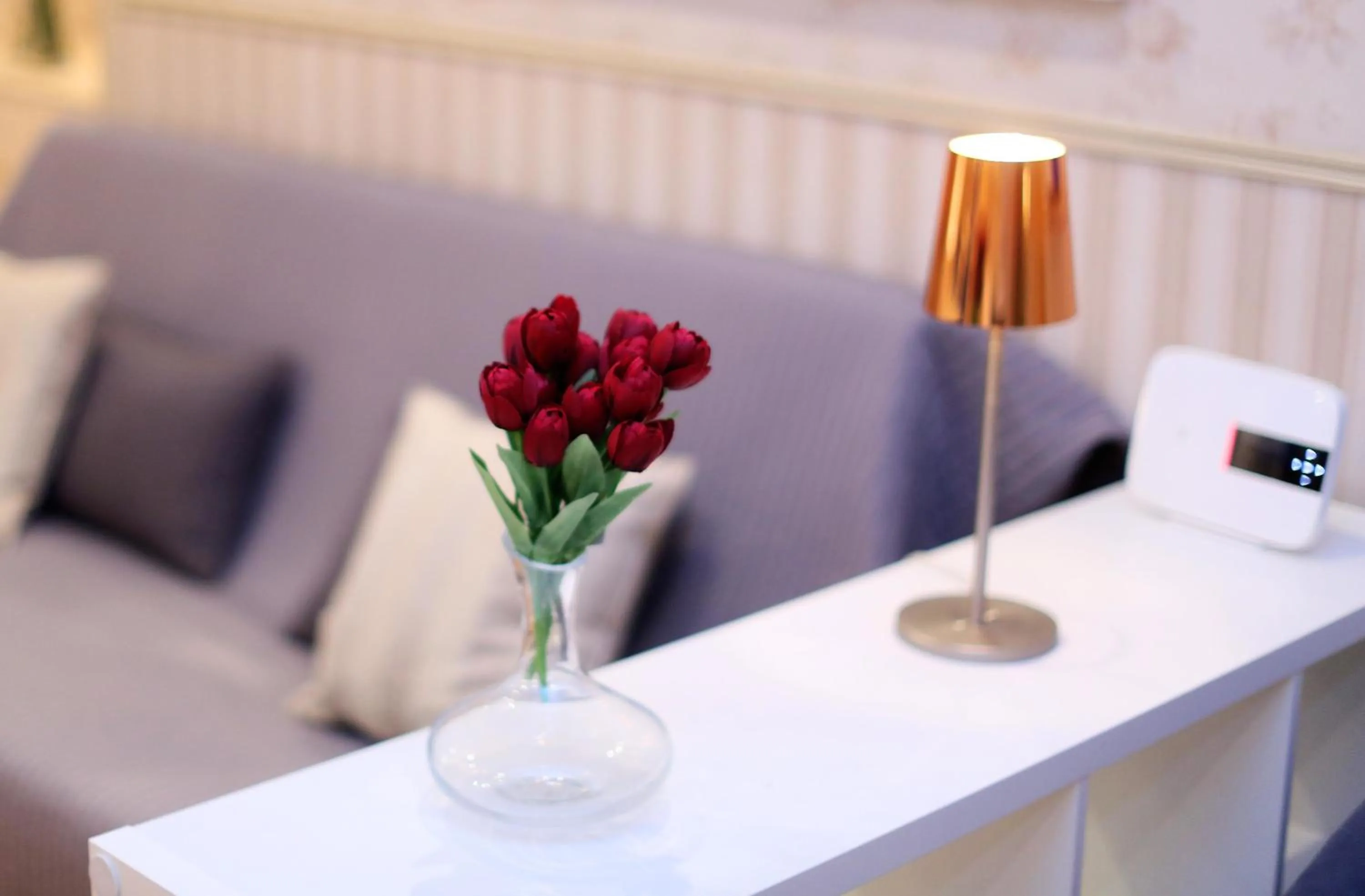 Living room in Apartment Felice