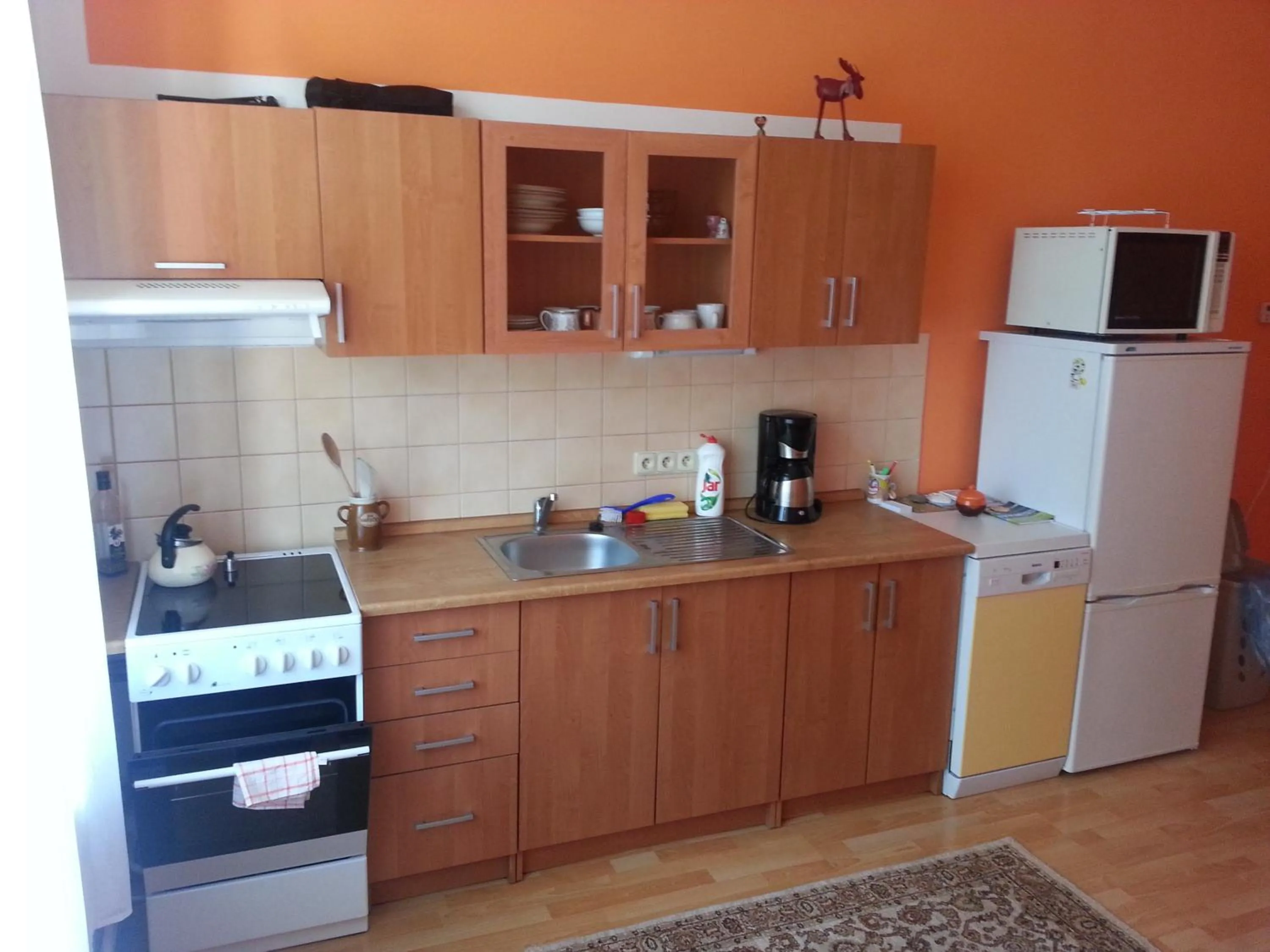 Apartment in Café Dlask