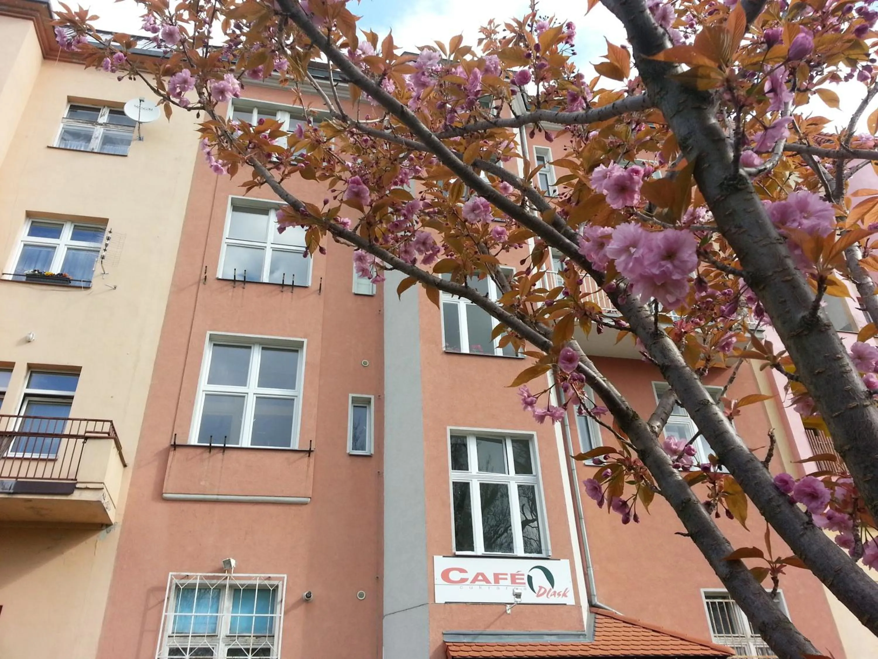 Facade/entrance in Café Dlask