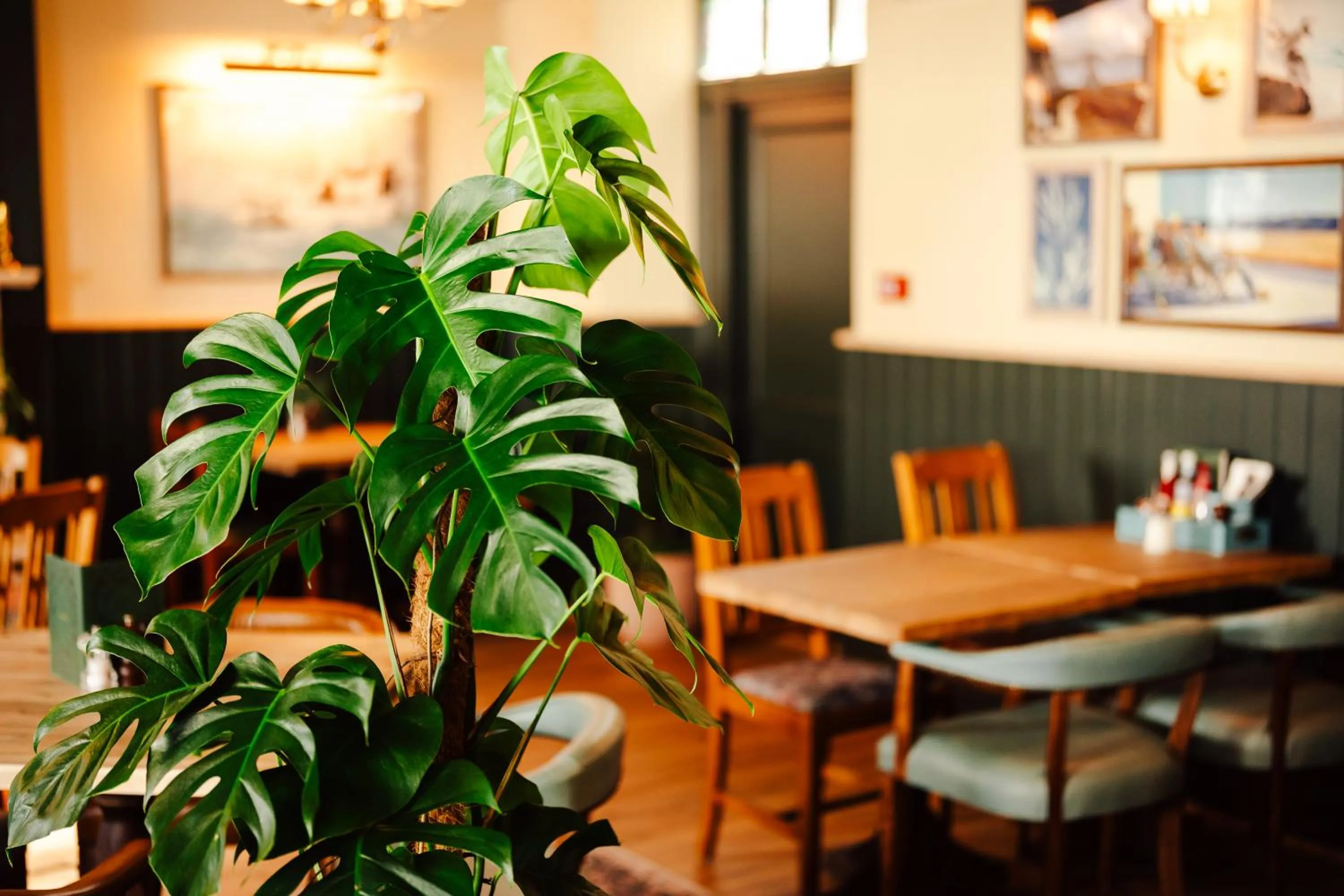 Dining area in Dolphin Hotel