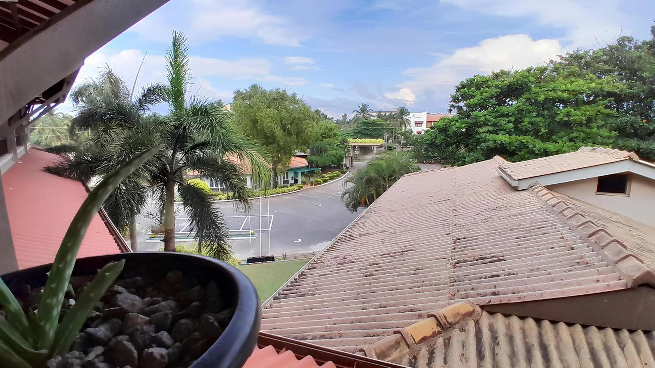 Garden in Laya Beach