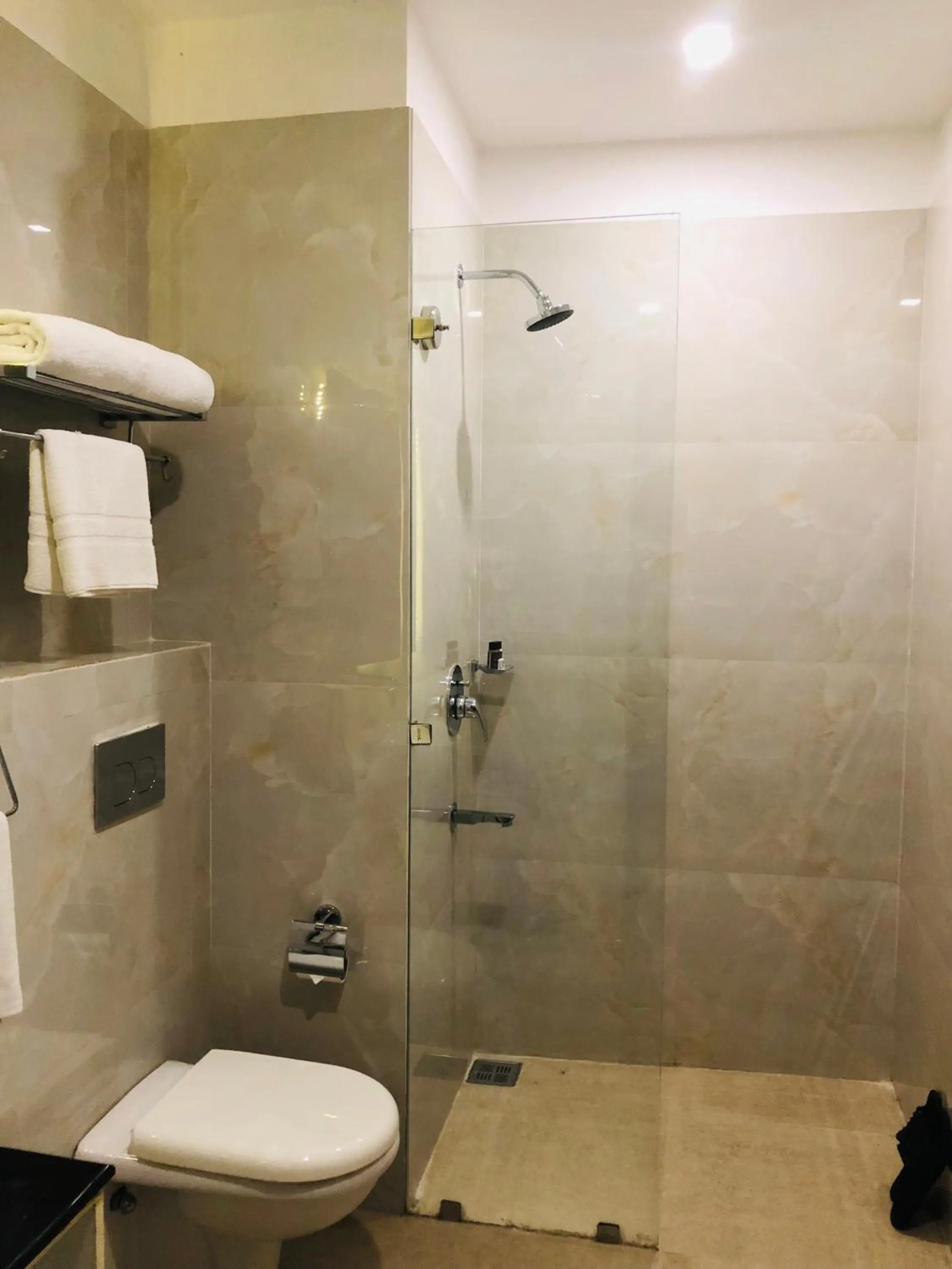 Bathroom in Nepalirika Hotel Biratchowk