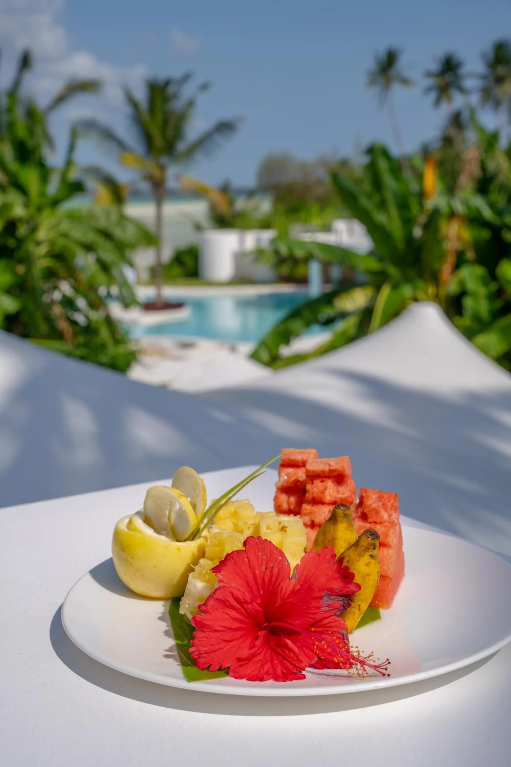 Restaurant/places to eat in Ycona Eco-Luxury Resort, Zanzibar