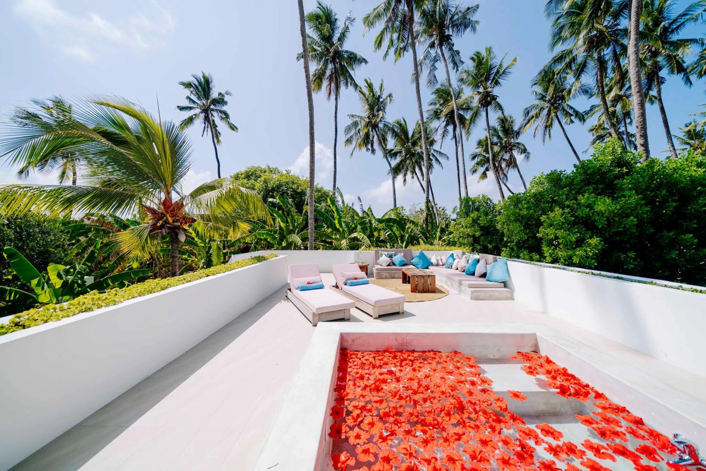 Natural landscape in Ycona Eco-Luxury Resort, Zanzibar