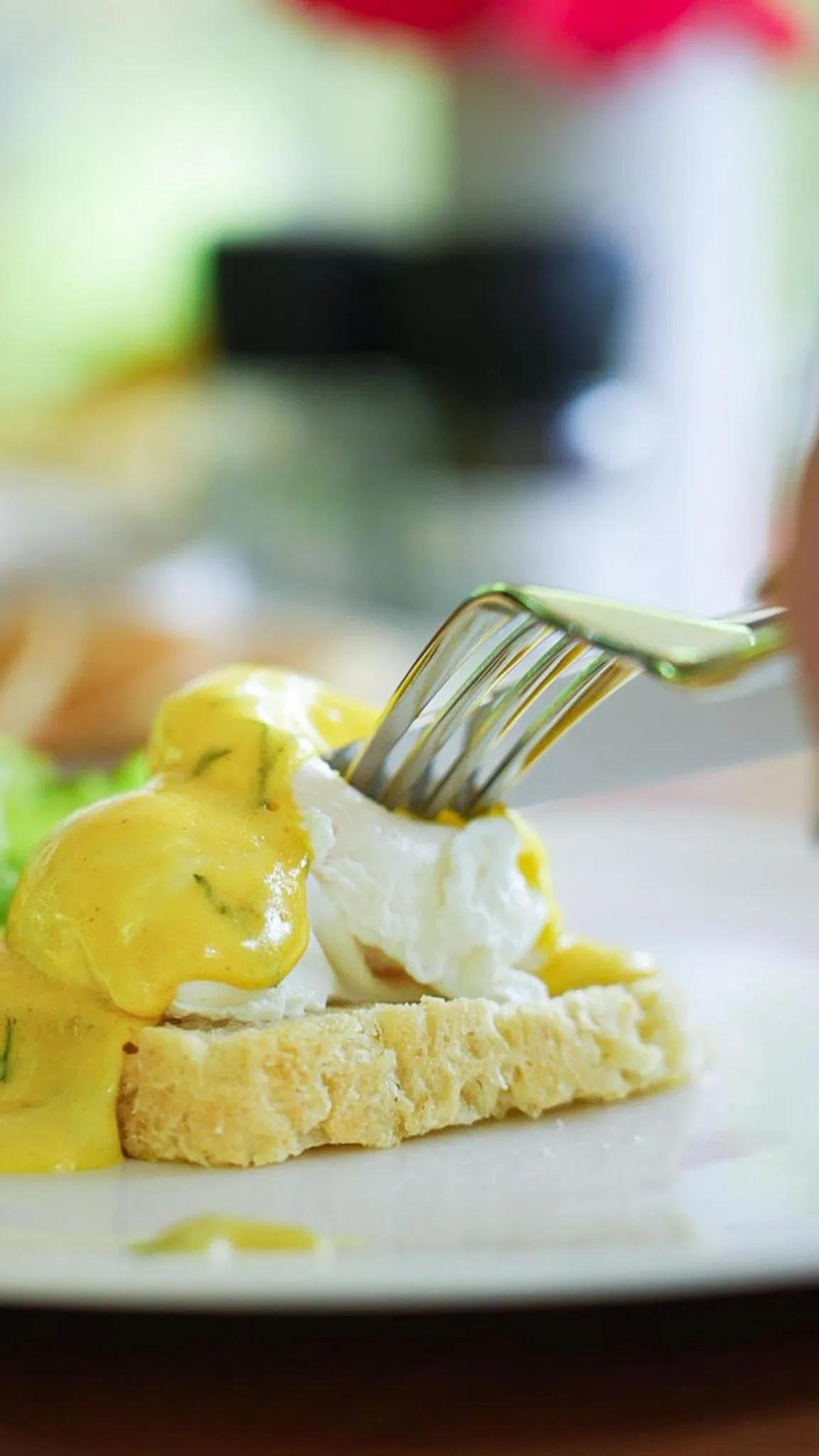 Restaurant/places to eat in Ycona Eco-Luxury Resort, Zanzibar