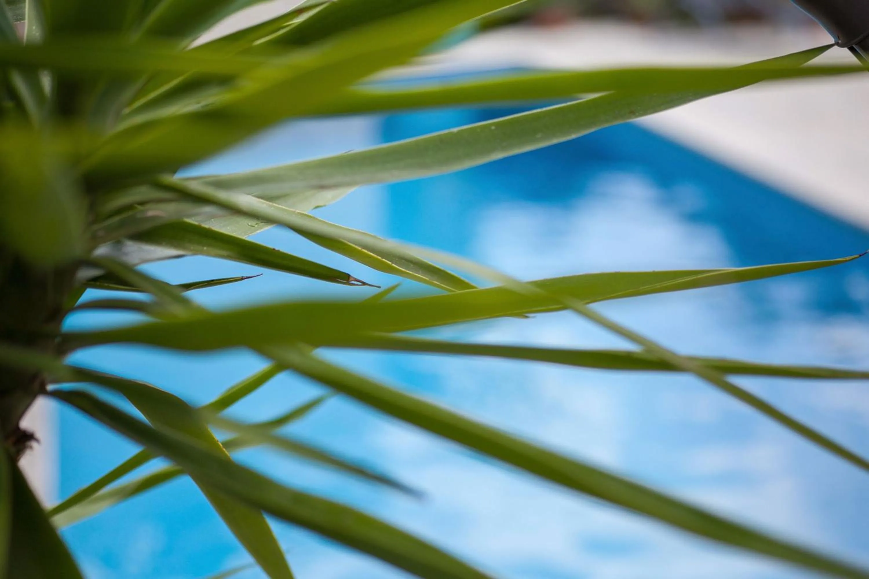 Decorative detail in Villa Heritage - Ultimate Croatian Retreat with stunning views and pool