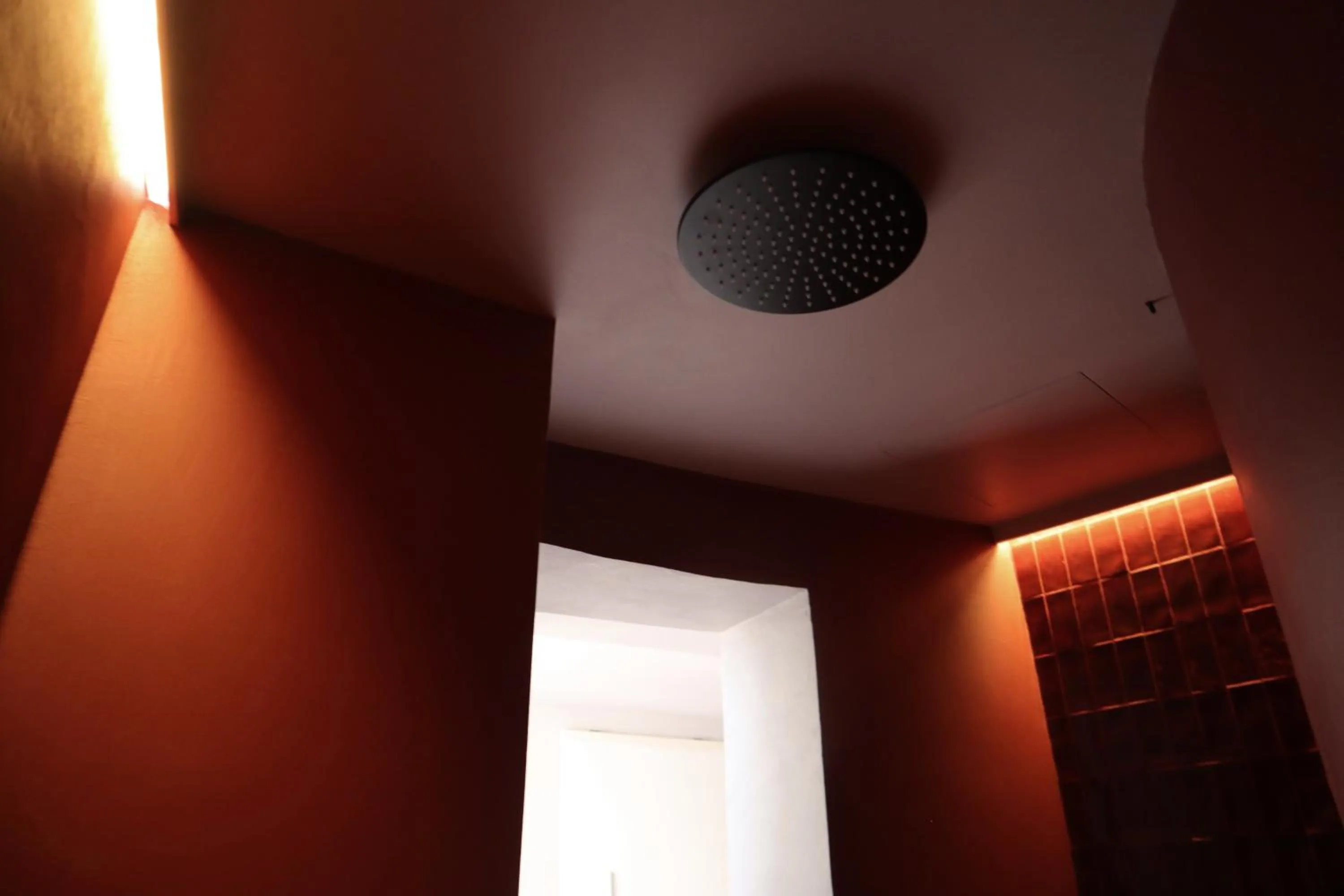 Shower in Roiss Haus Suites