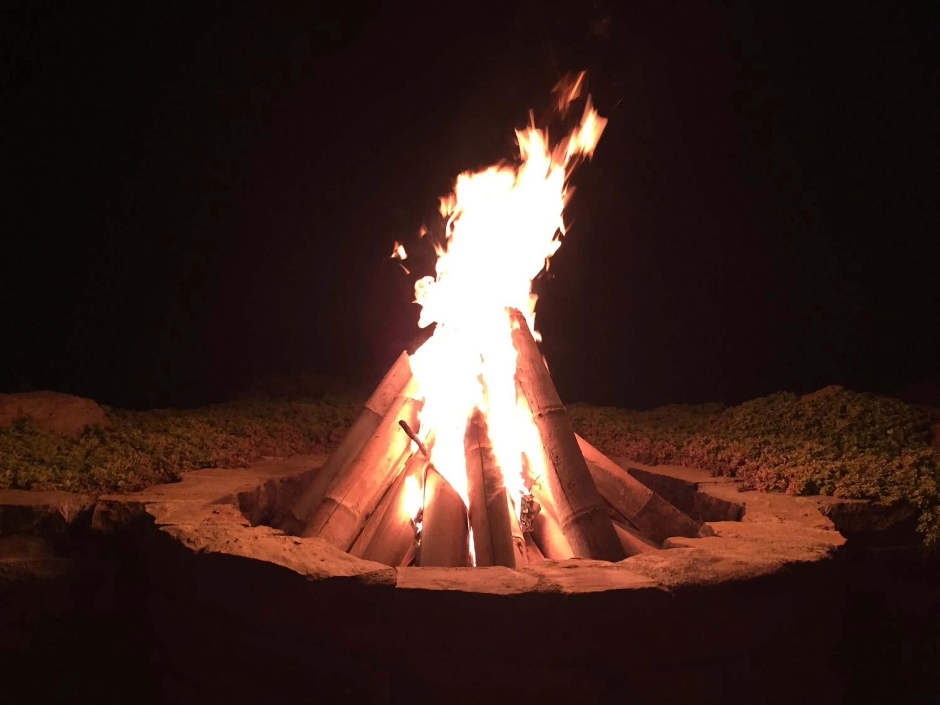 Area and facilities in La Playa