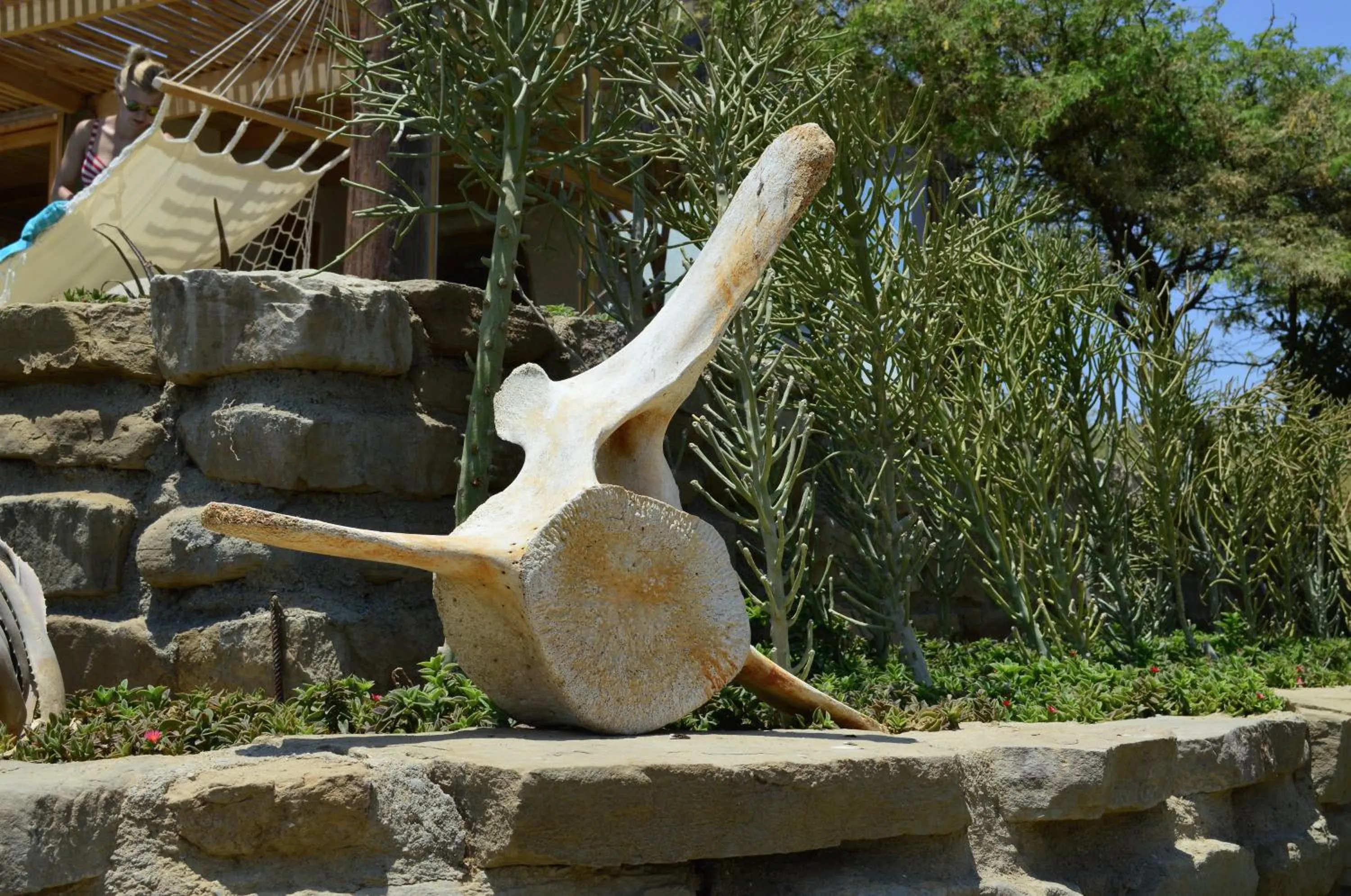 Decorative detail in La Playa