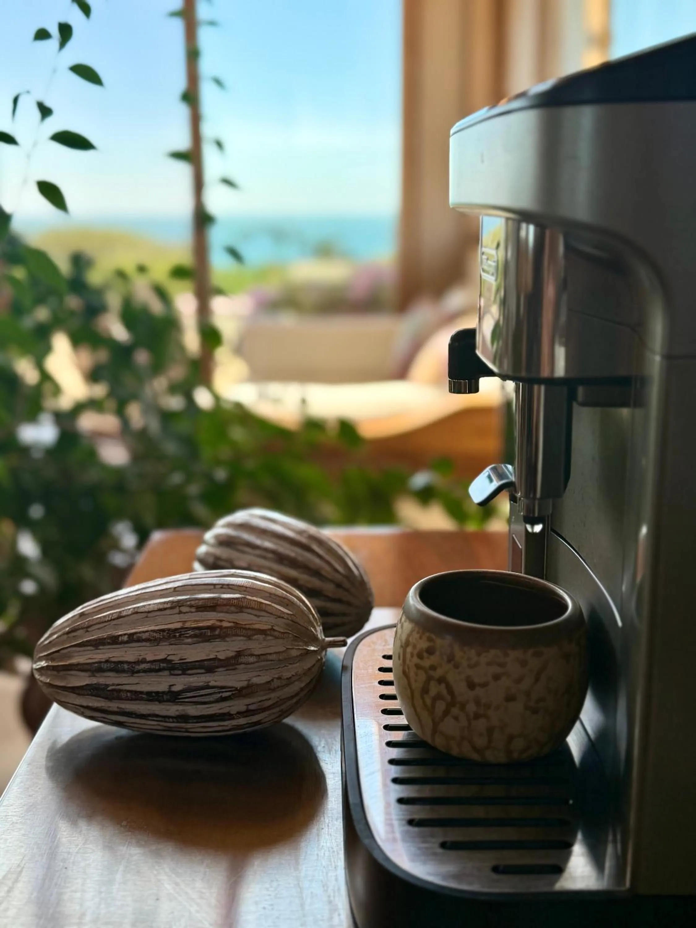 Restaurant/places to eat in La Playa