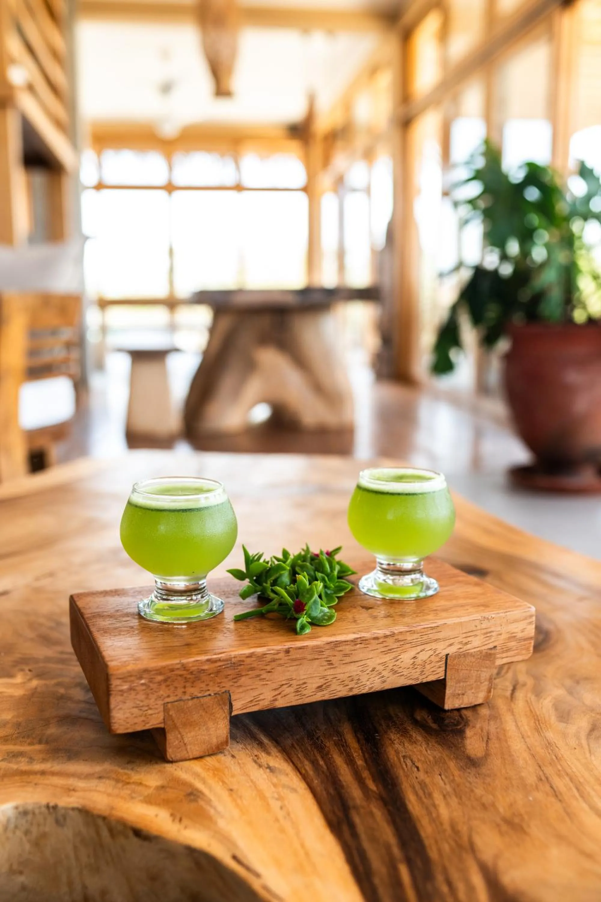 Restaurant/places to eat in La Playa