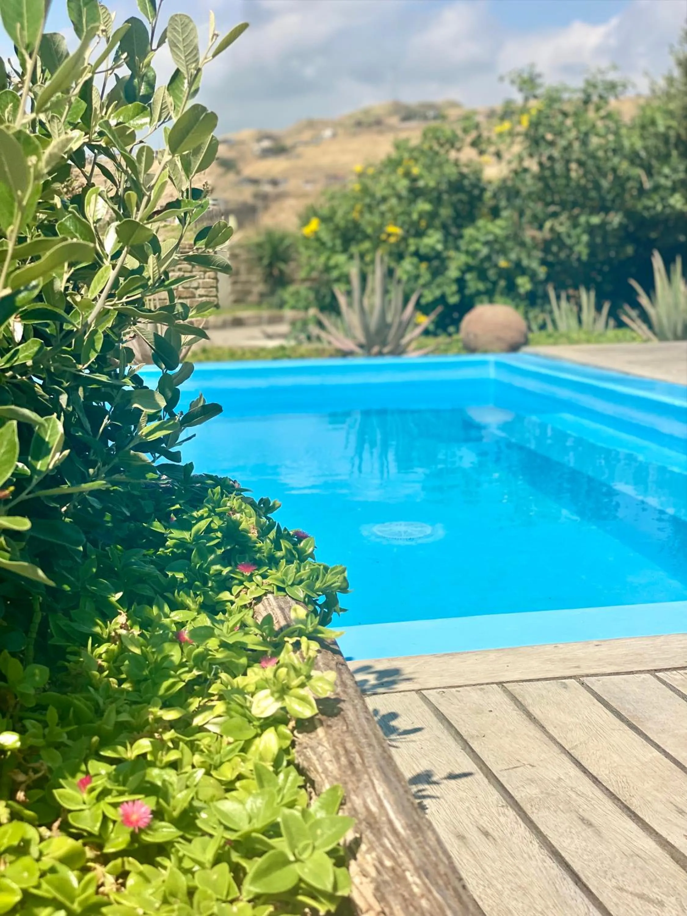 Swimming pool in La Playa