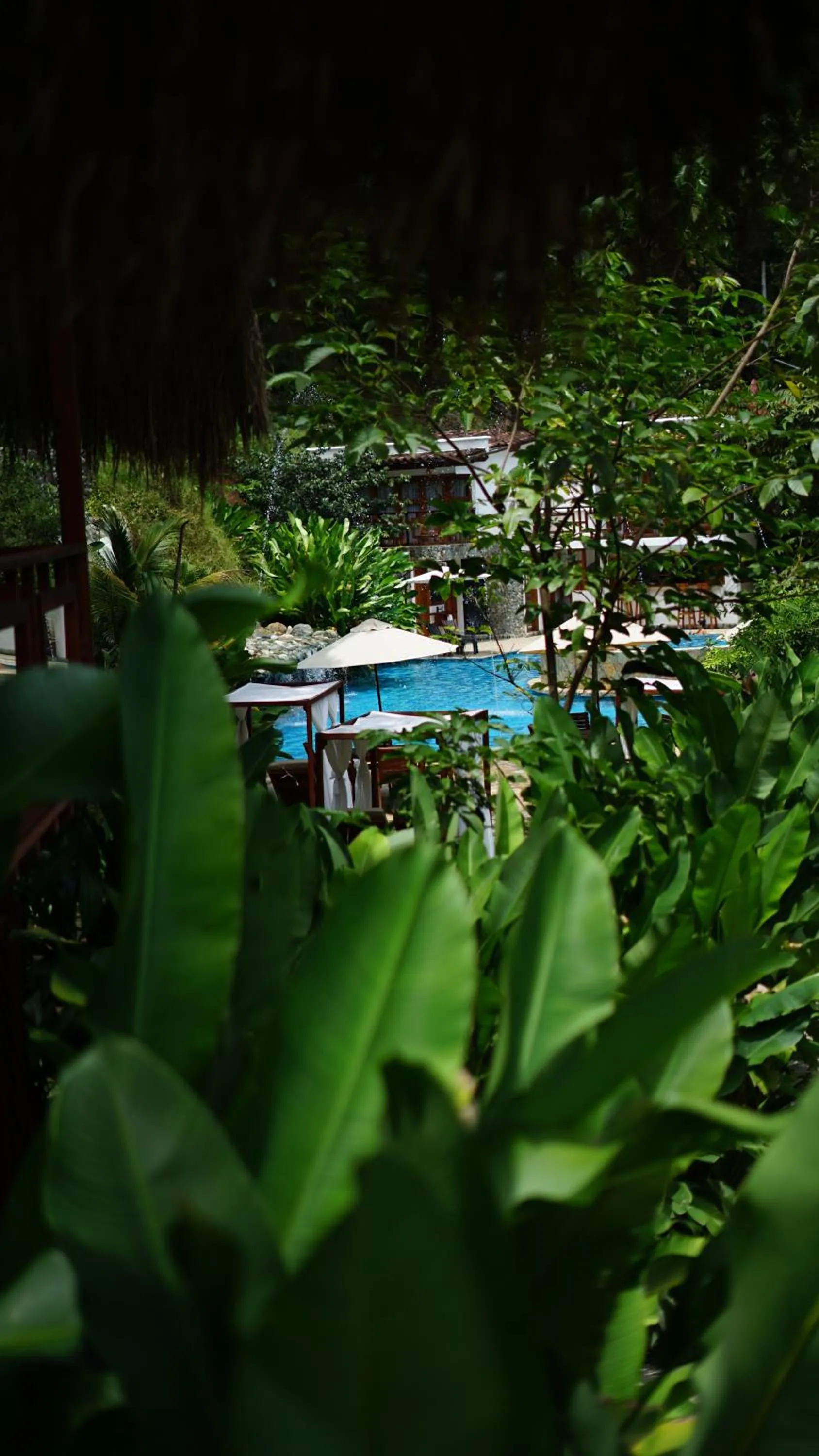 Day in Bio Rio Hotel