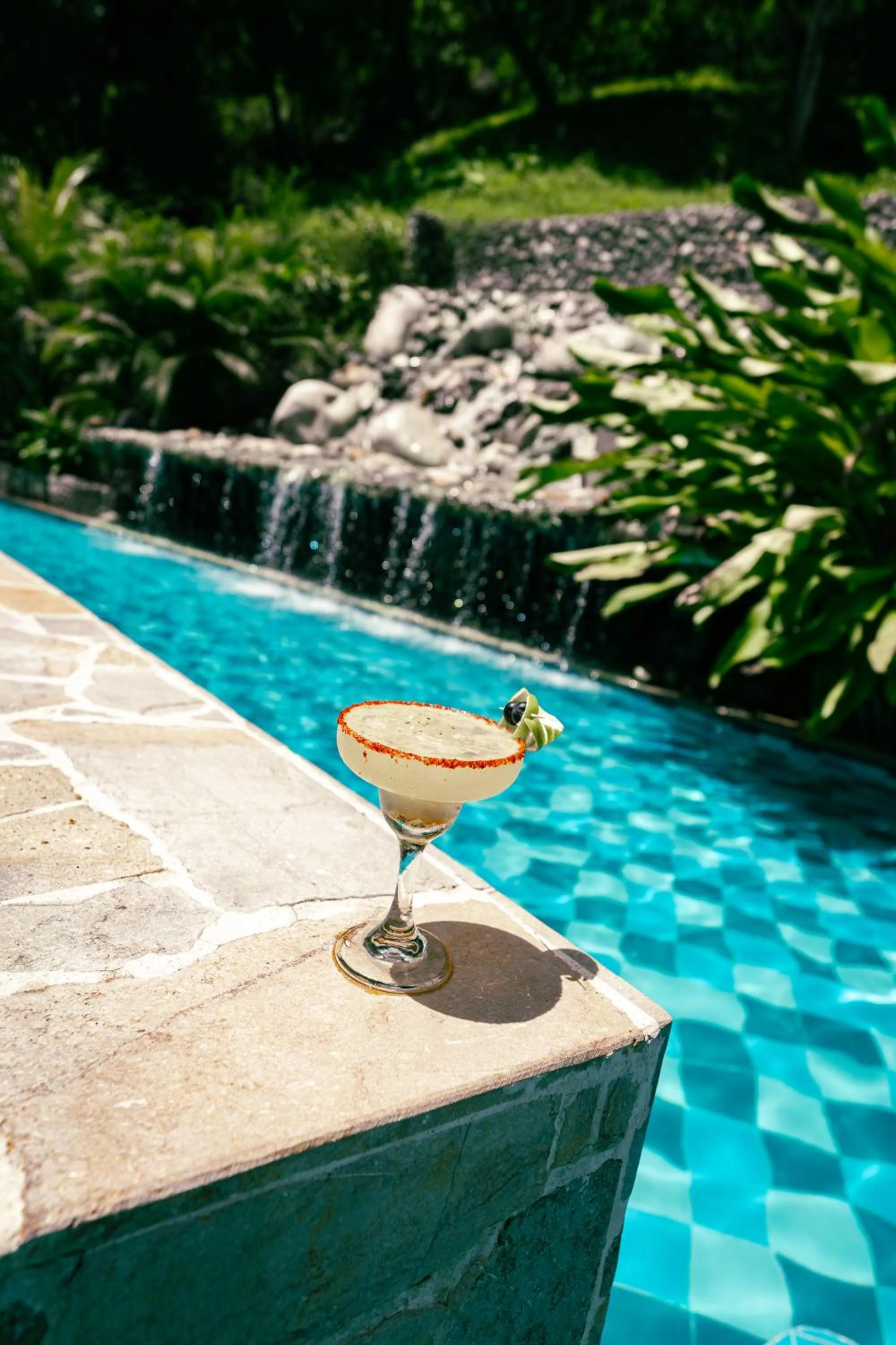 Day in Bio Rio Hotel