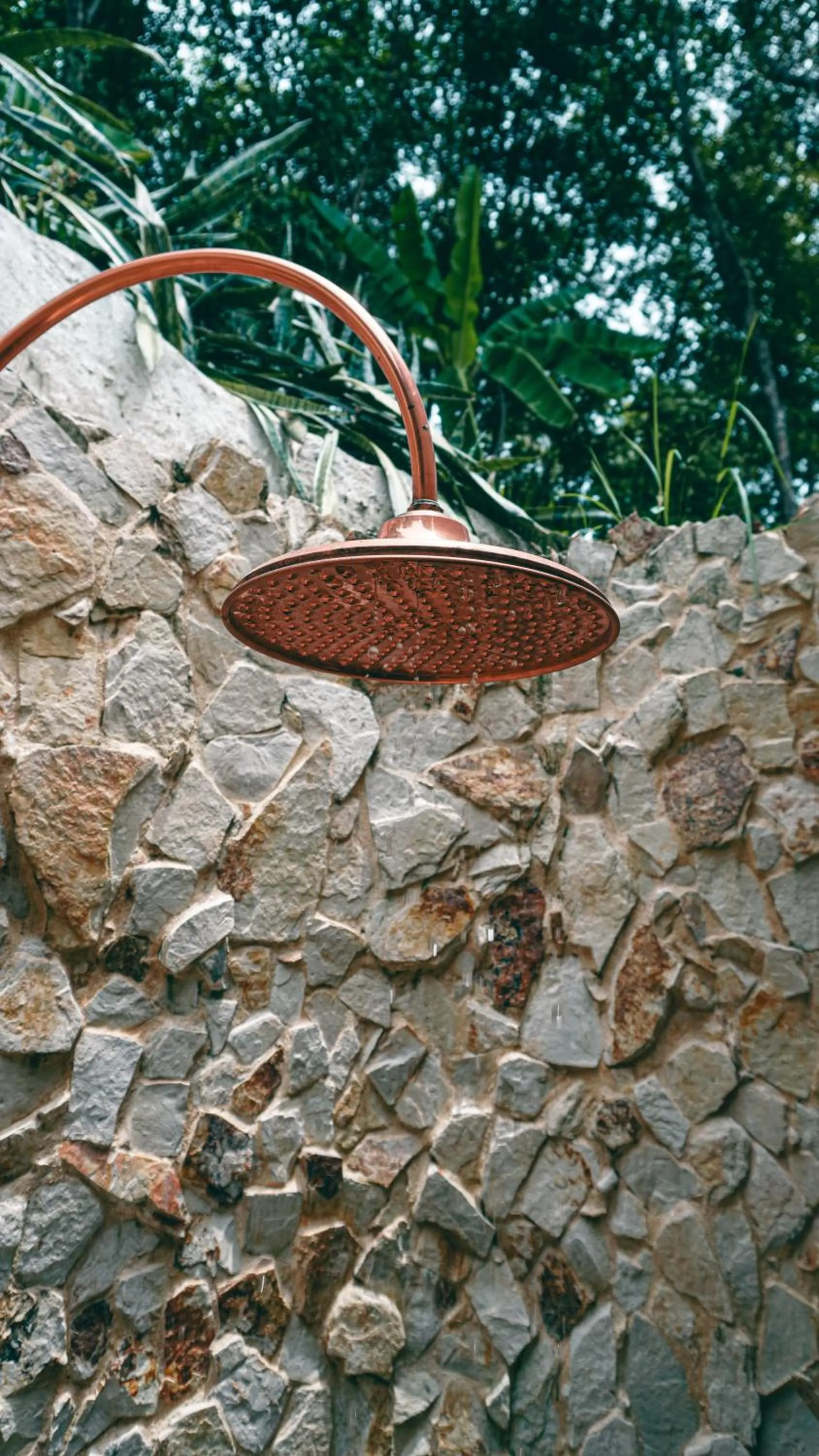 Day in Bio Rio Hotel