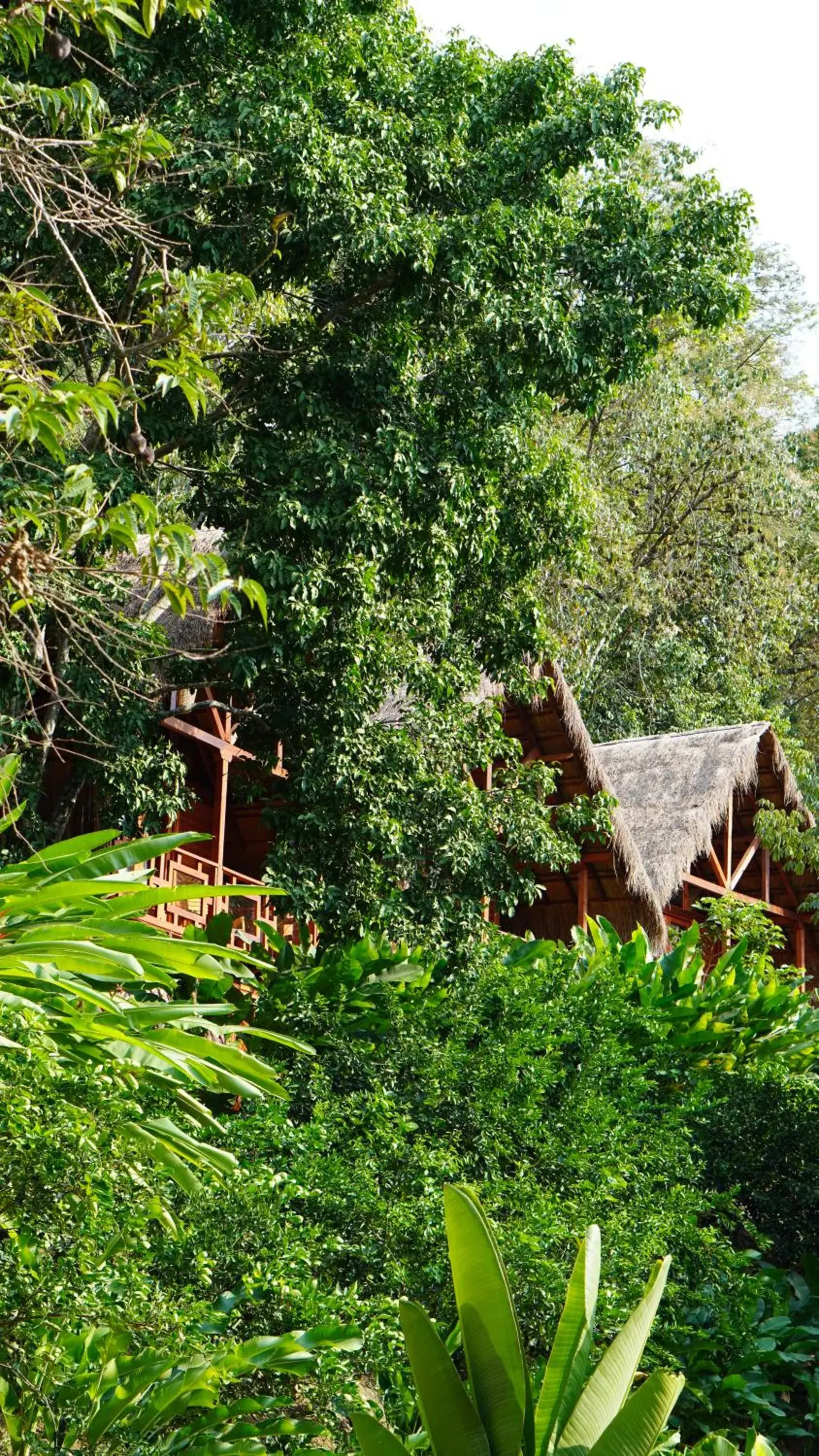 Deluxe Bungalow in Bio Rio Hotel Deluxe Bungalow in Bio Rio Hotel