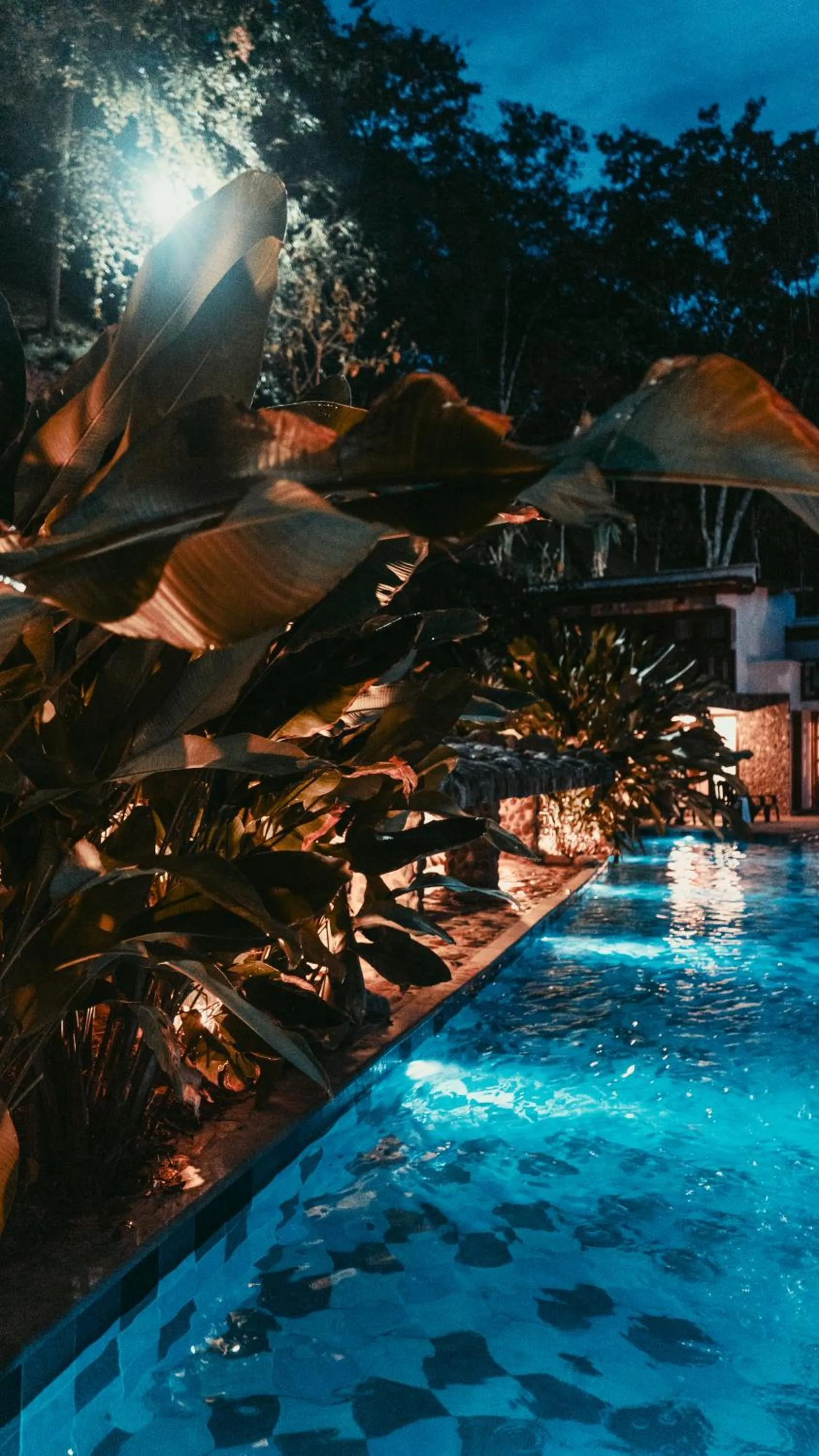 Night in Bio Rio Hotel