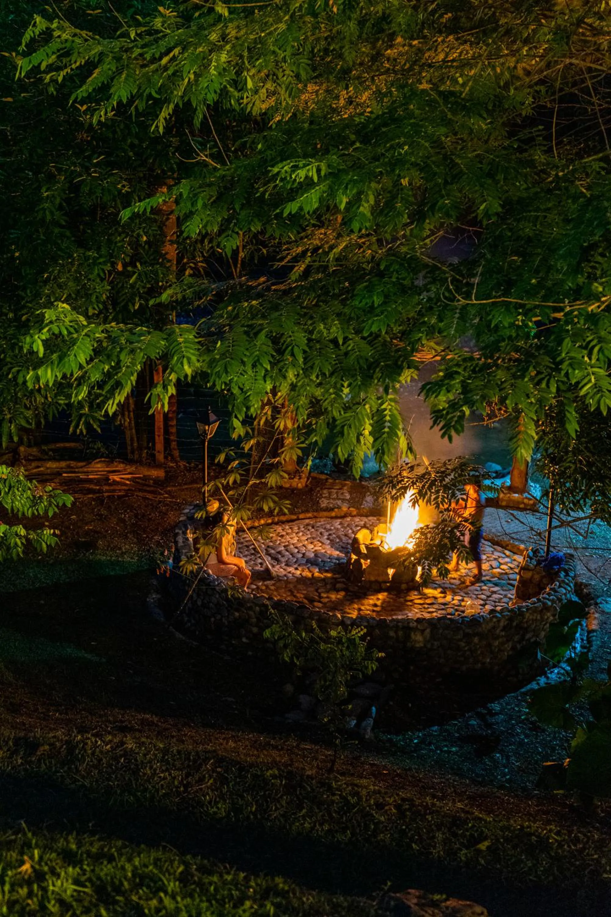 Night in Bio Rio Hotel