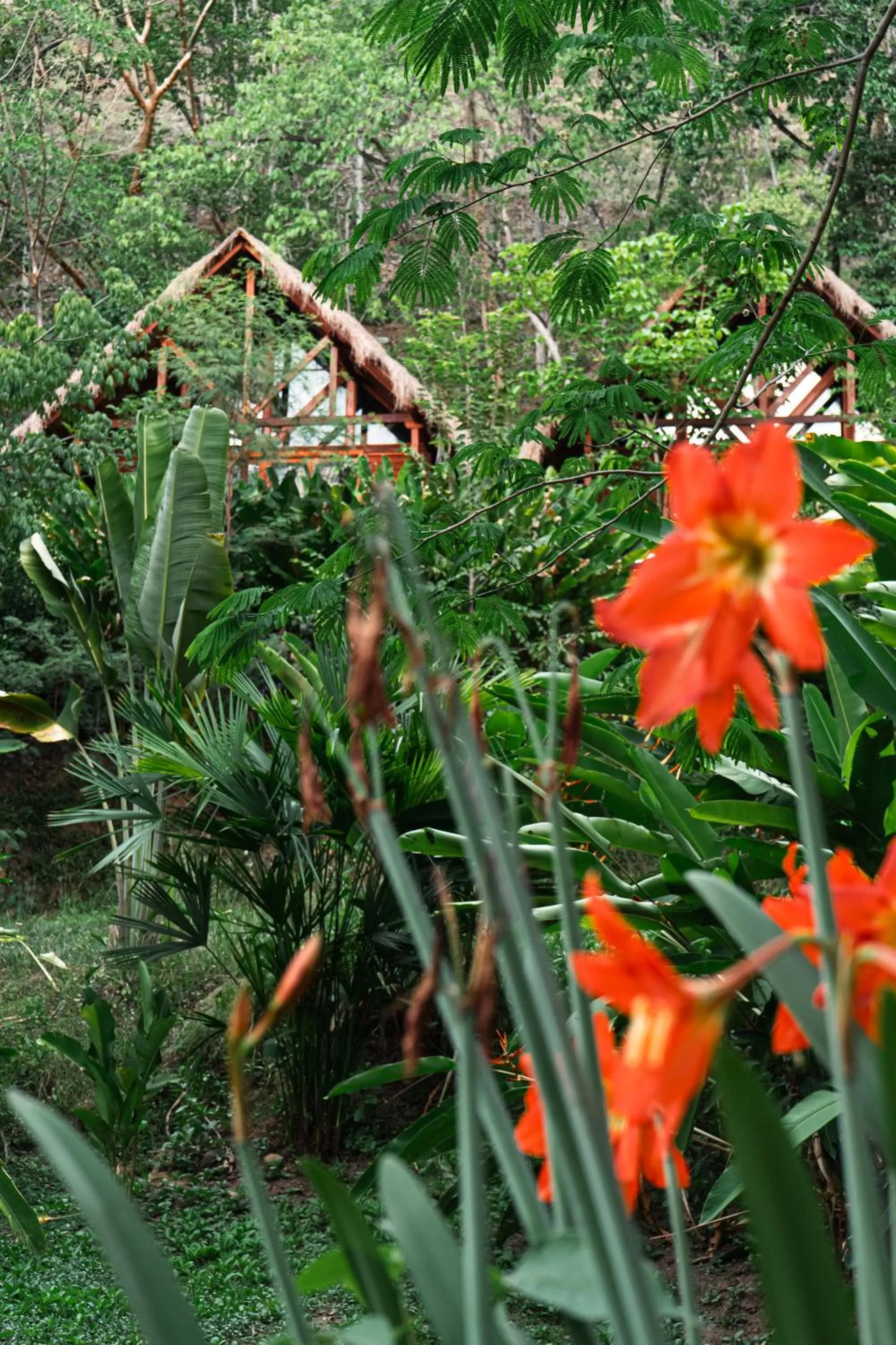 Spring in Bio Rio Hotel