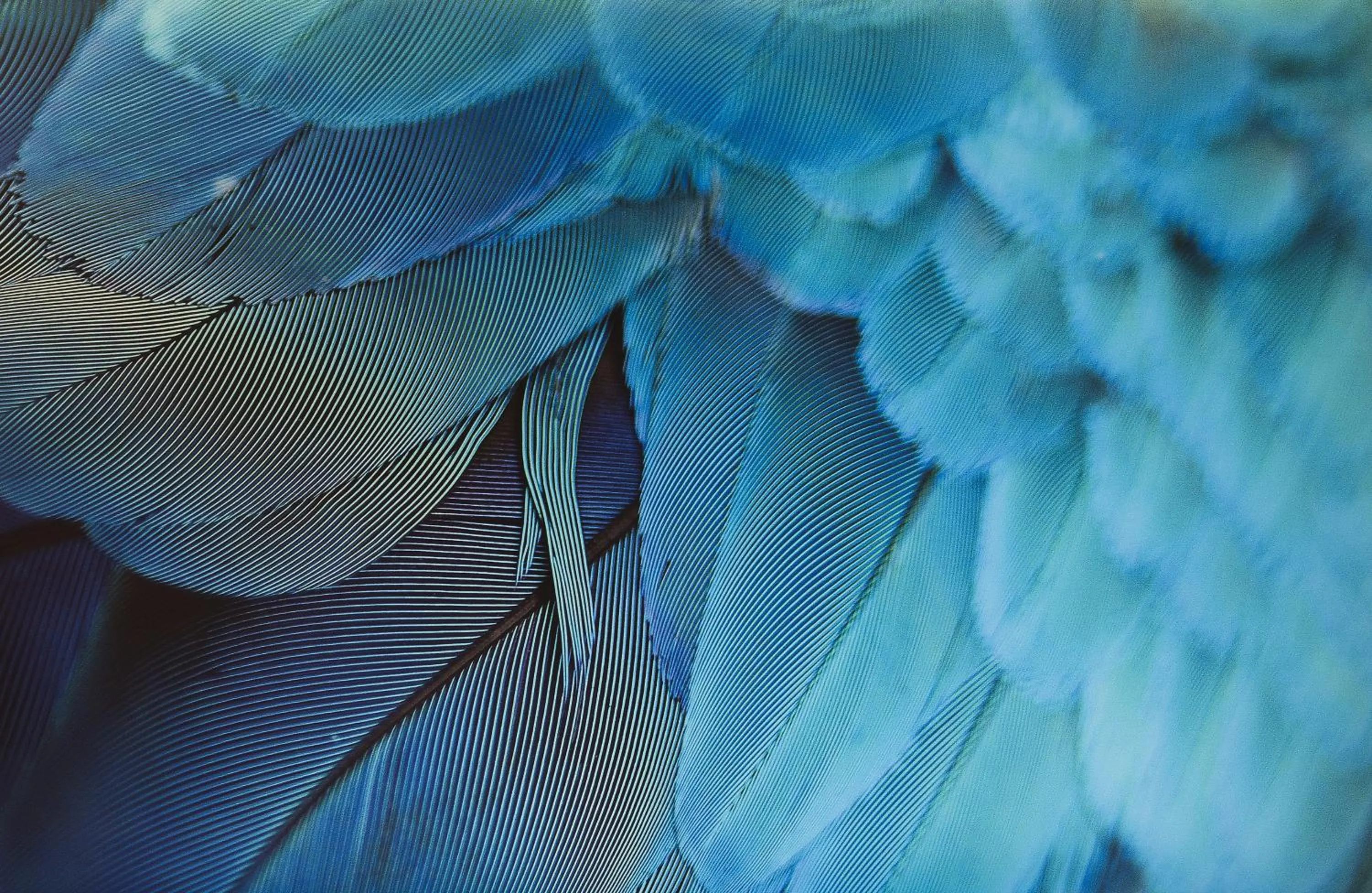 Decorative detail in Hotel de Seze