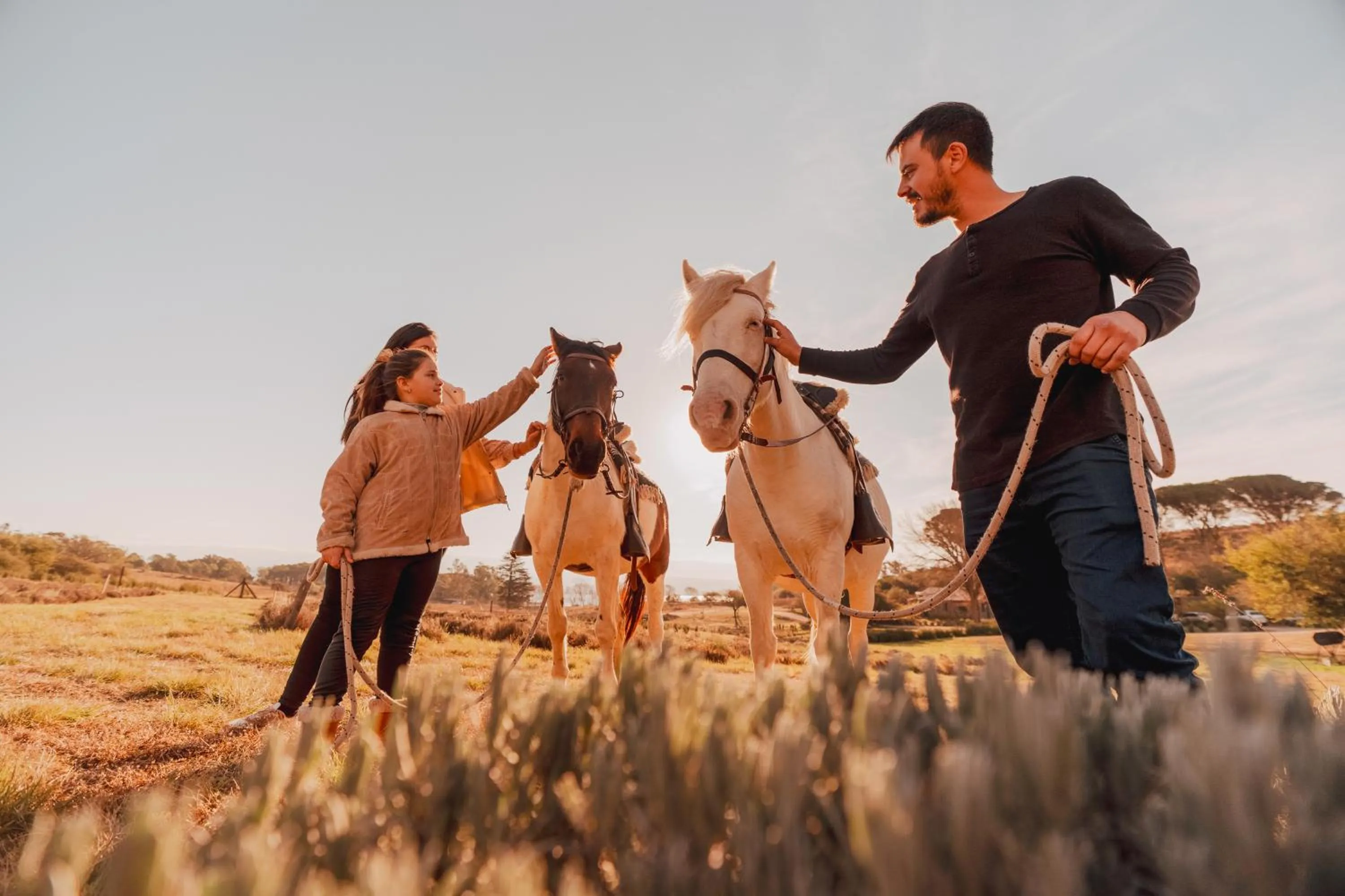 Get Hotel Molvento, AKEN SOUL Collection