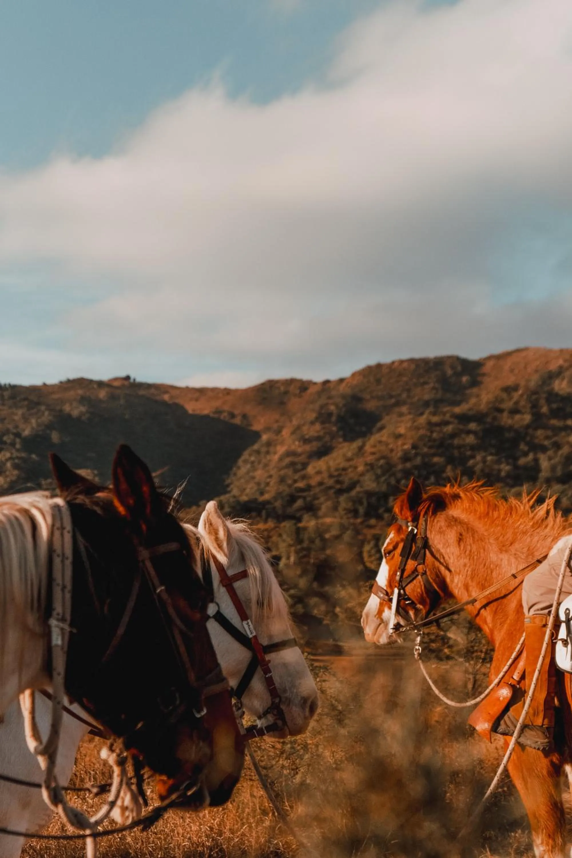 Get Hotel Molvento, AKEN SOUL Collection