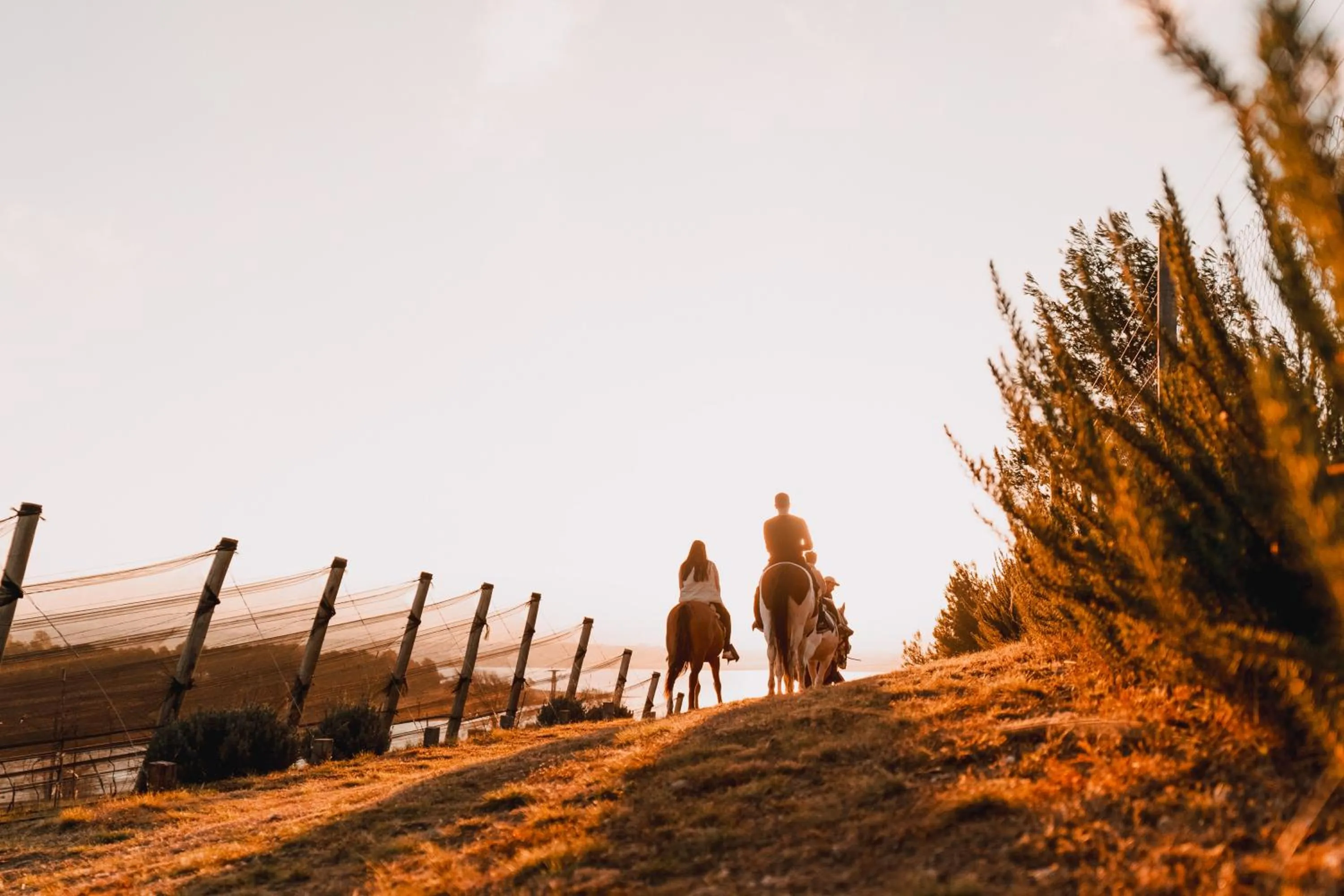 Get Hotel Molvento, AKEN SOUL Collection