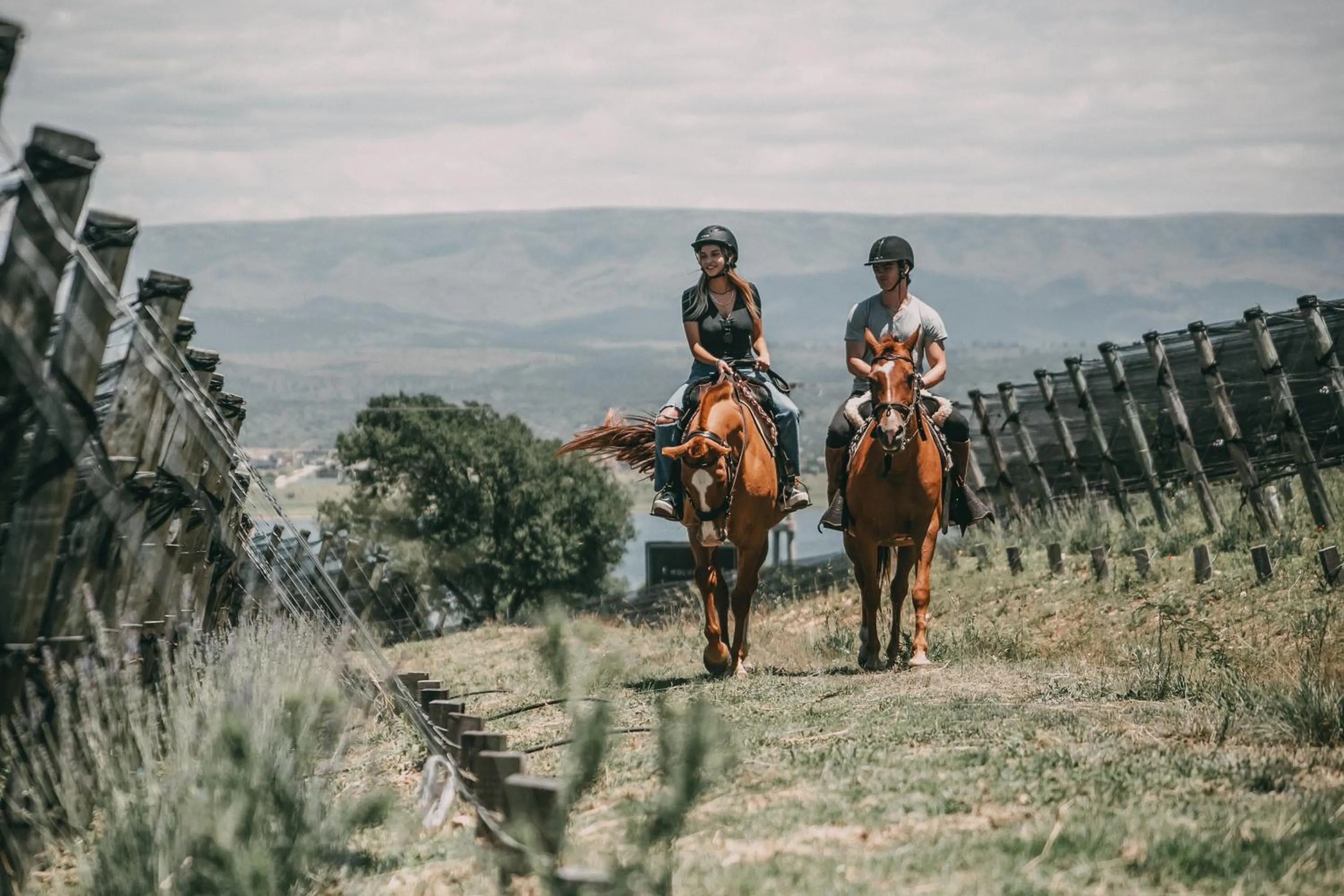 Horse-riding in Get Hotel Molvento, AKEN SOUL Collection