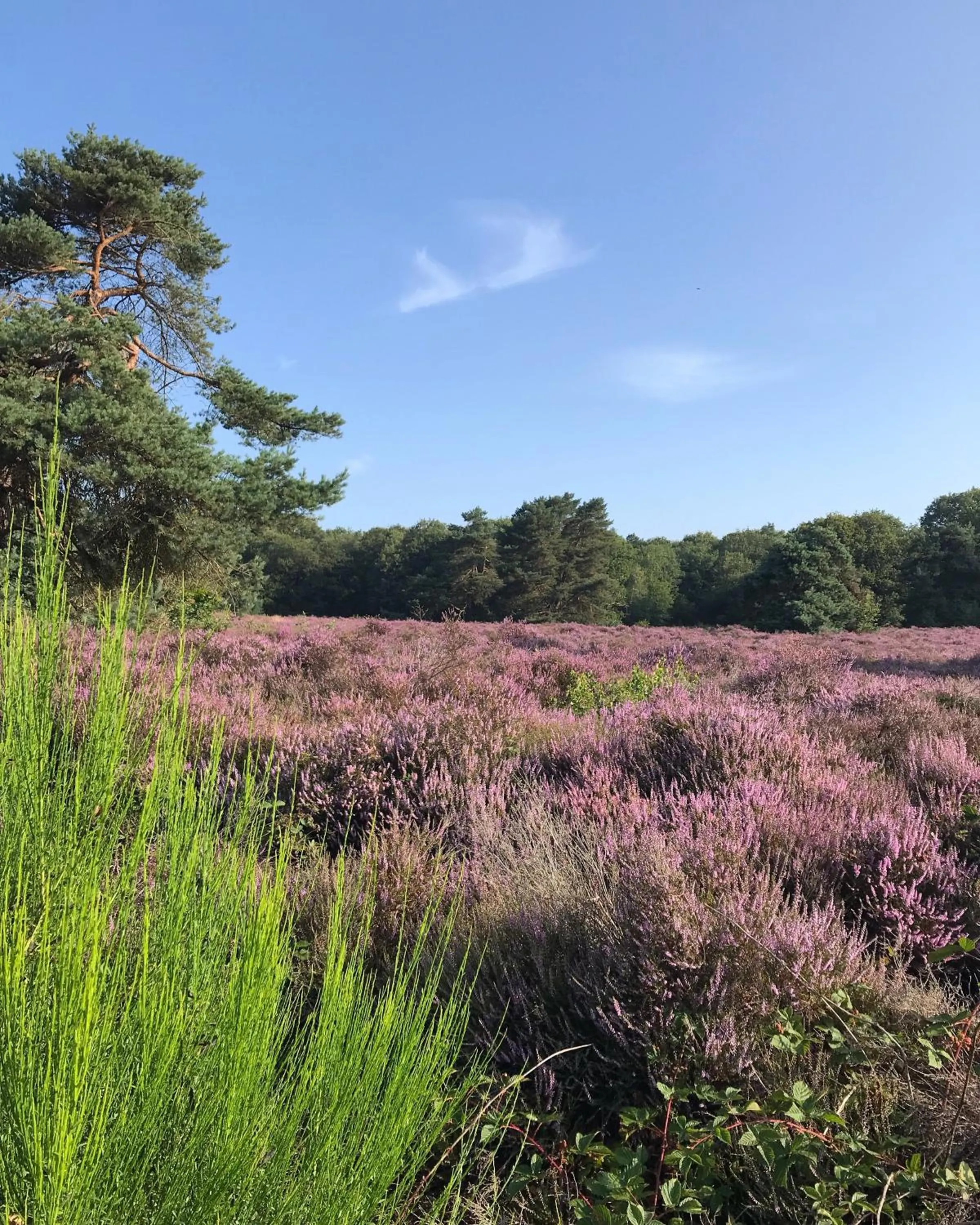 Area and facilities in Hotel De Werelt Garderen
