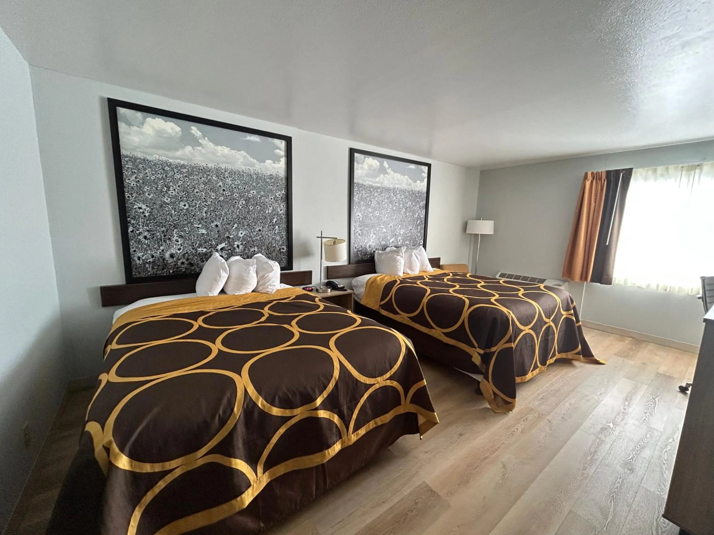 Photo of the whole room, Bed in Super 8 by Wyndham Sterling CO