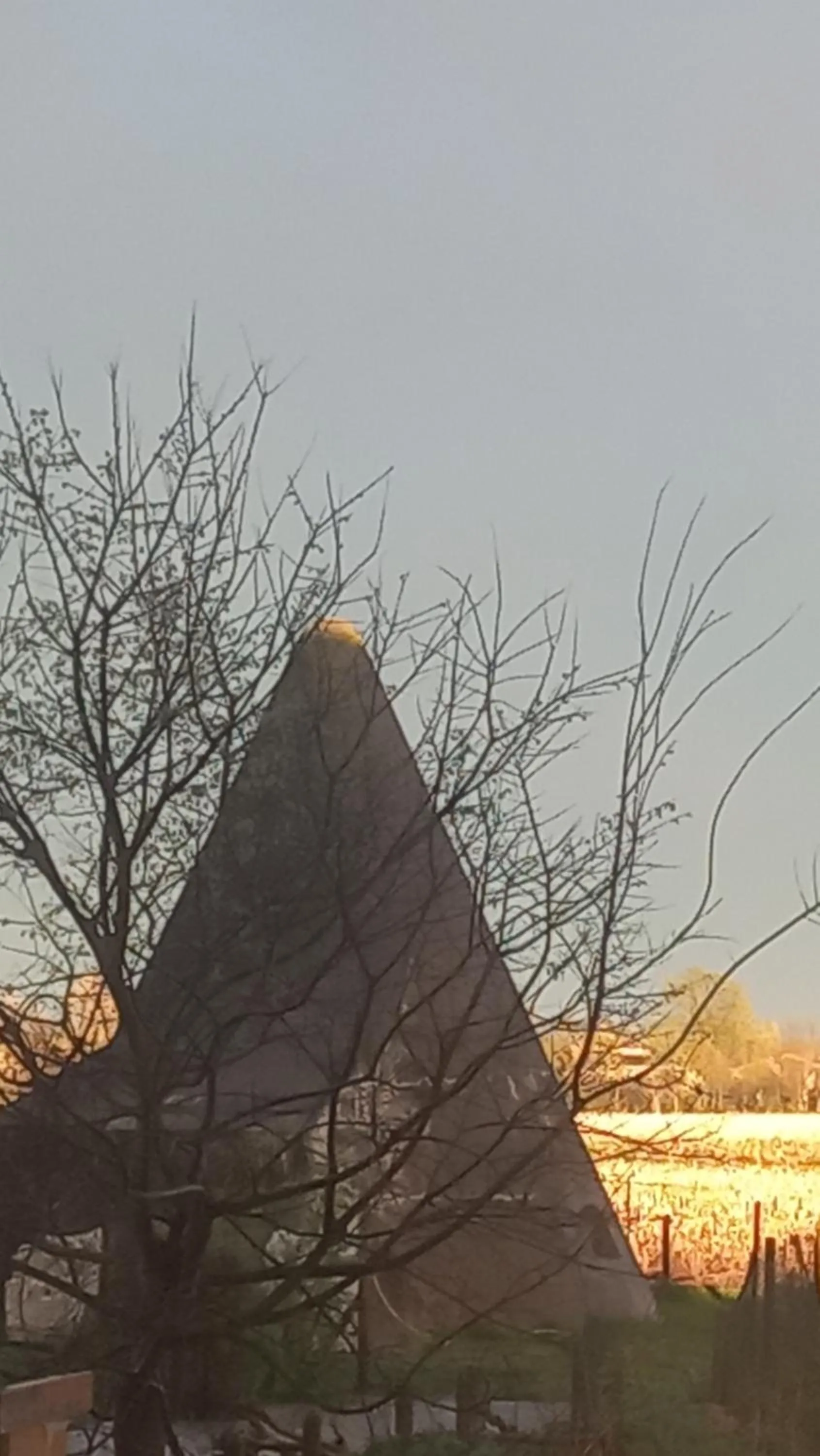 View (from property/room) in Le Maginot Relais