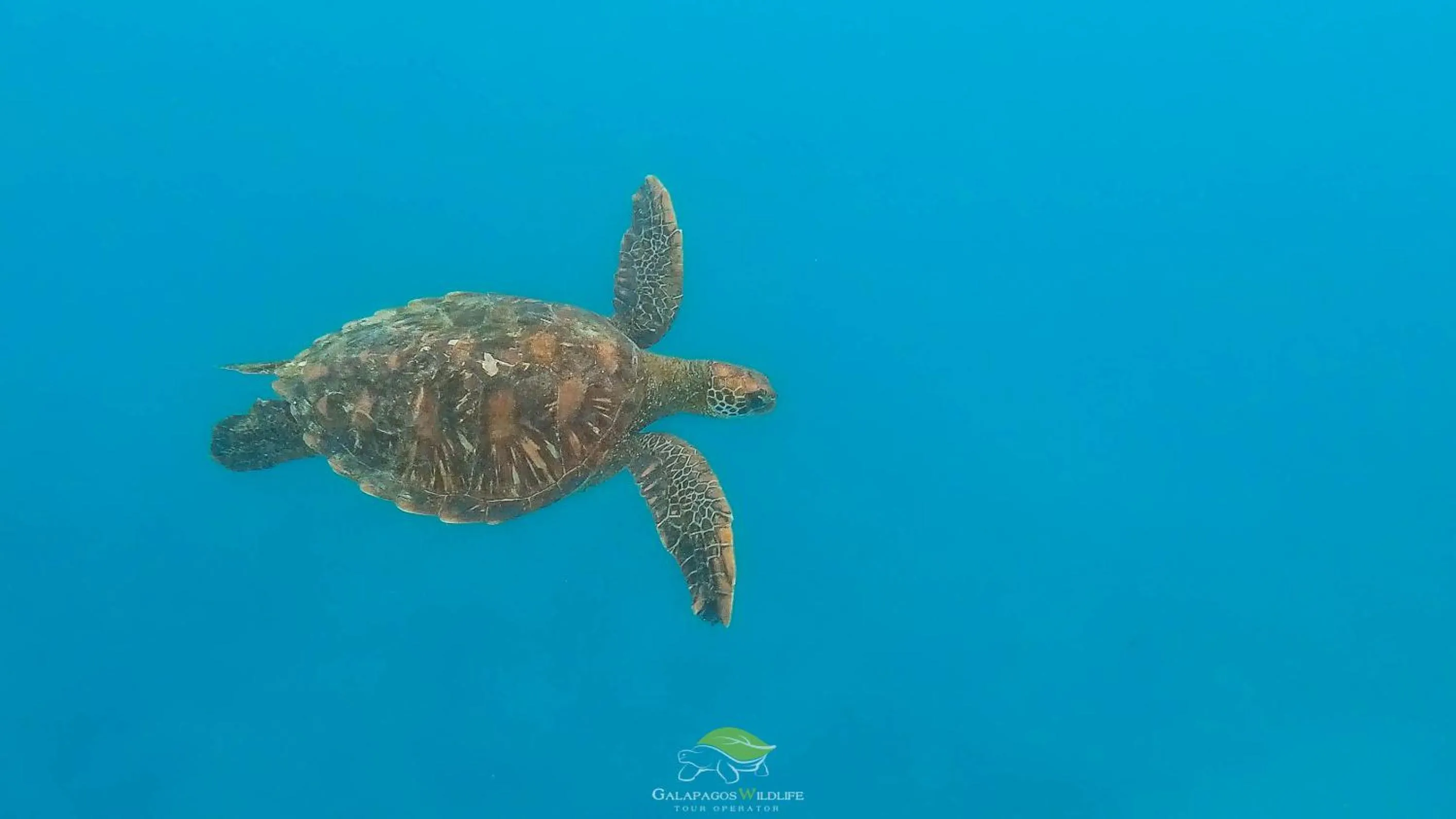 Natural landscape in Carliza Nature Lodge