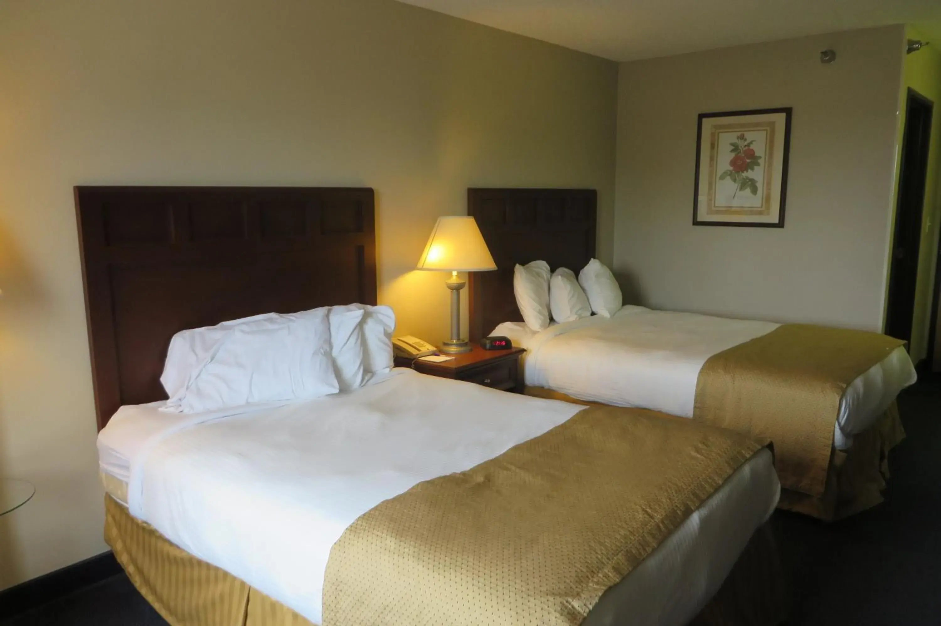 Bed in Baymont by Wyndham Boone Bed in Baymont by Wyndham Boone