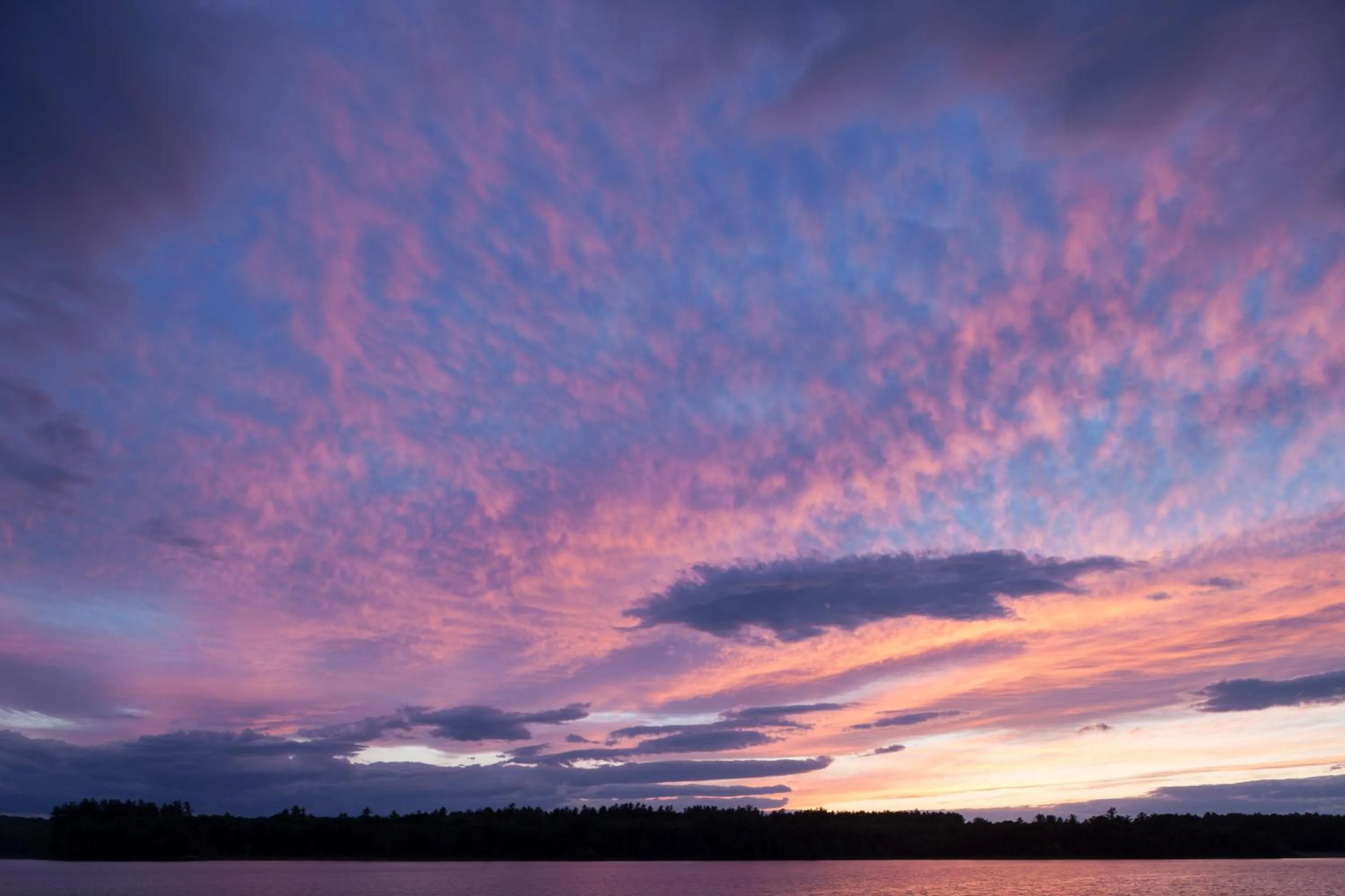 Area and facilities in Wolf Cove Inn