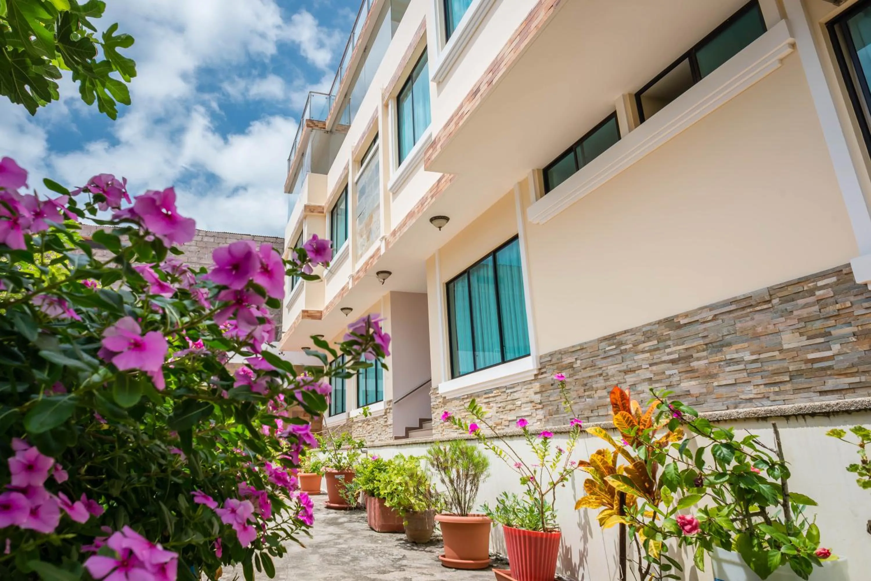 Garden in Hotel Flamingo