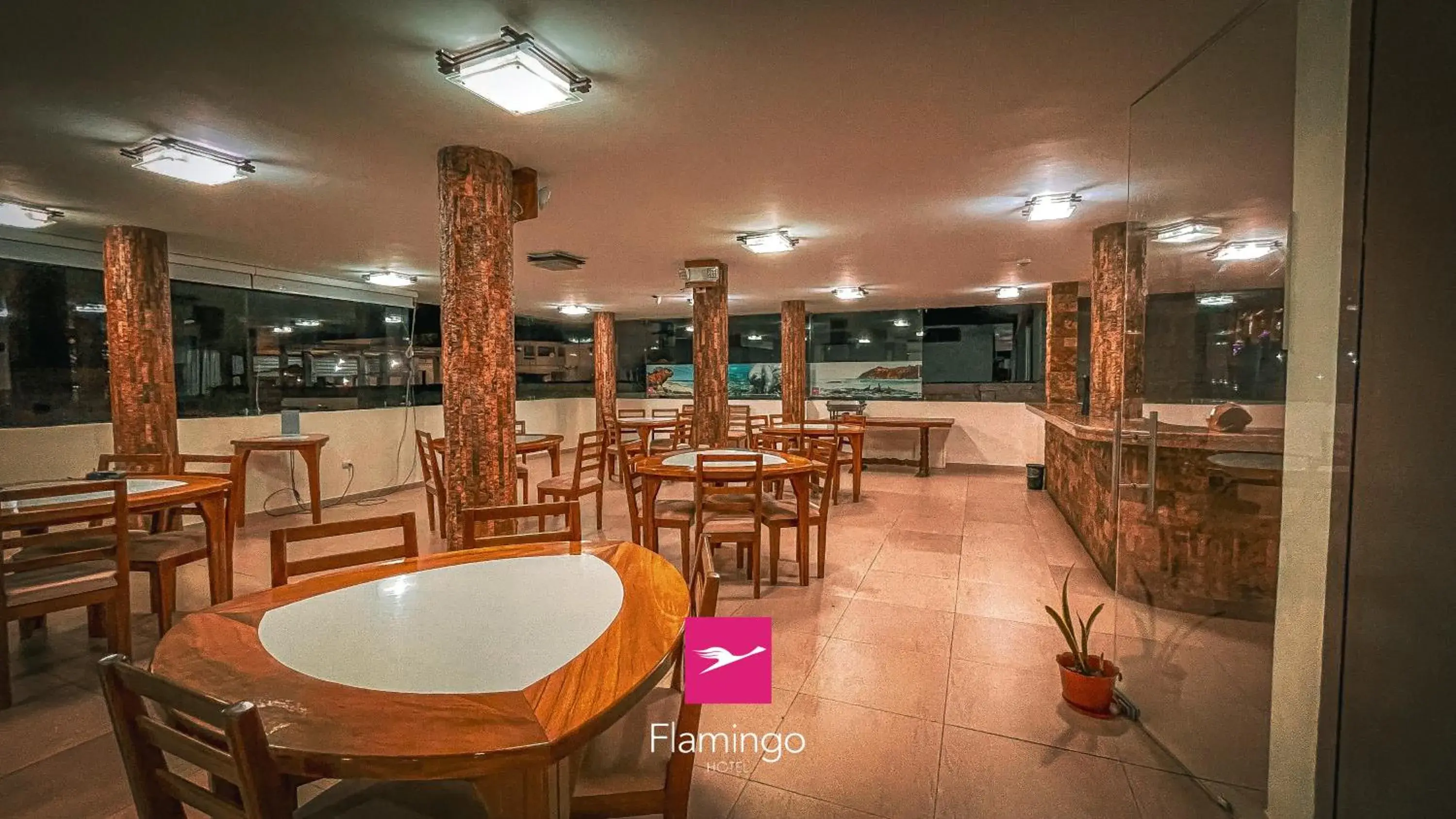 Restaurant/places to eat in Hotel Flamingo Restaurant/places to eat in Hotel Flamingo