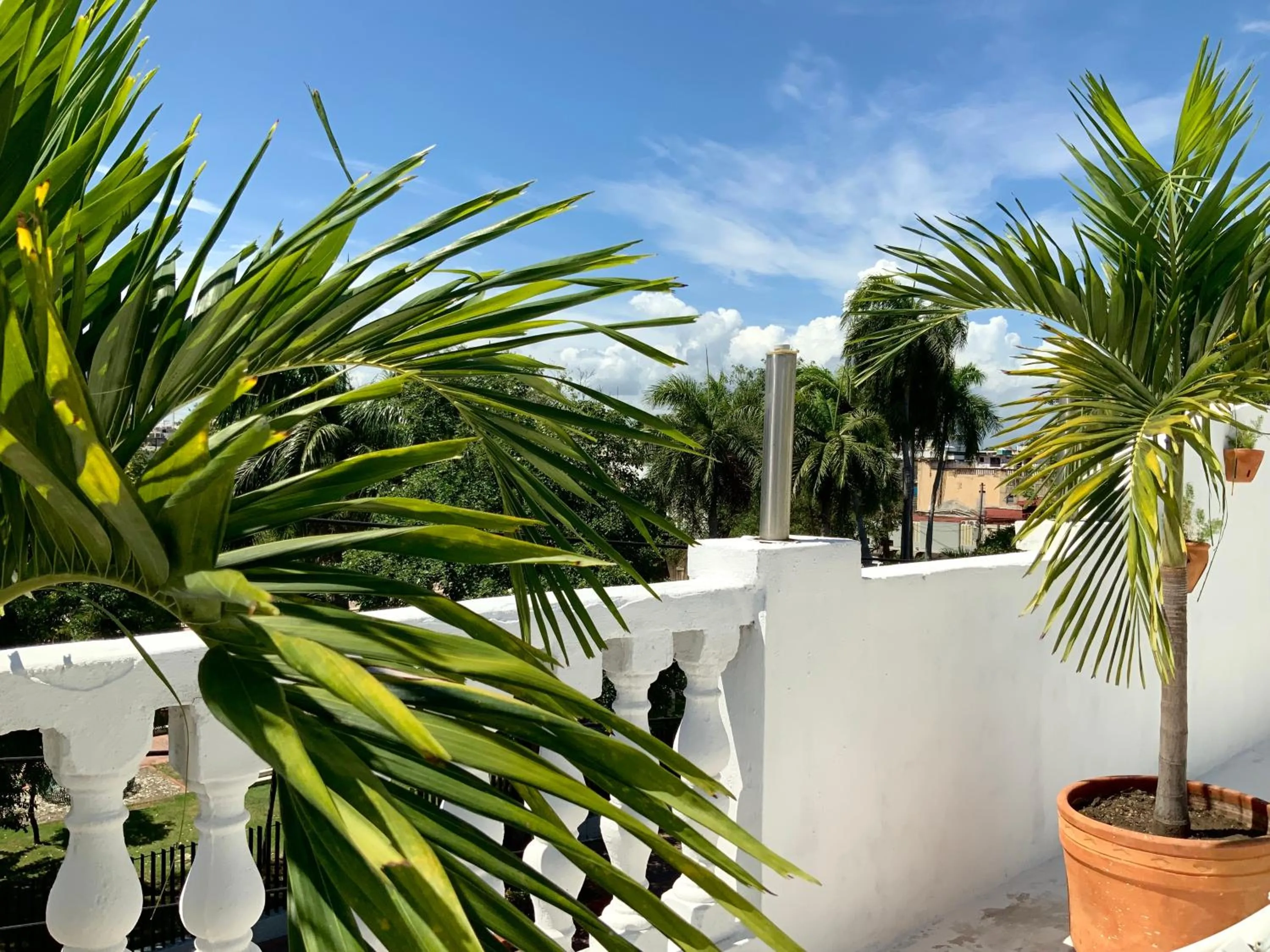 Garden in MOKA HOUSE