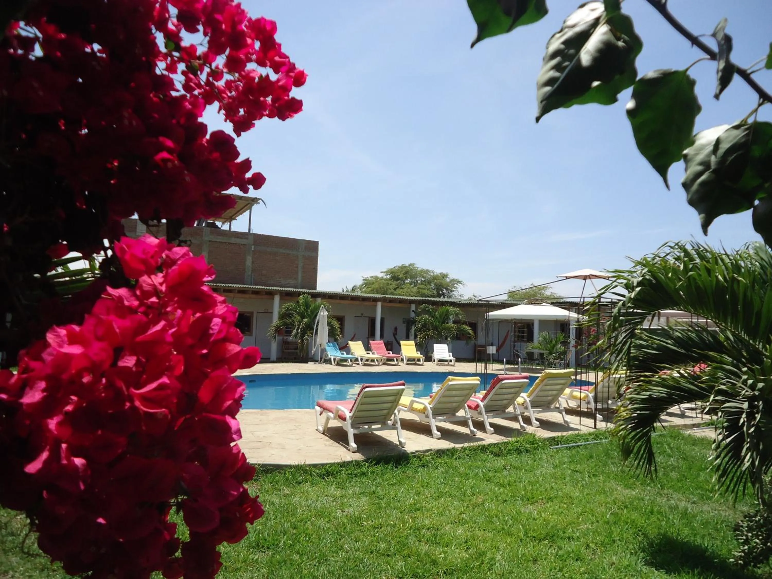 Garden in Mancora y Sol