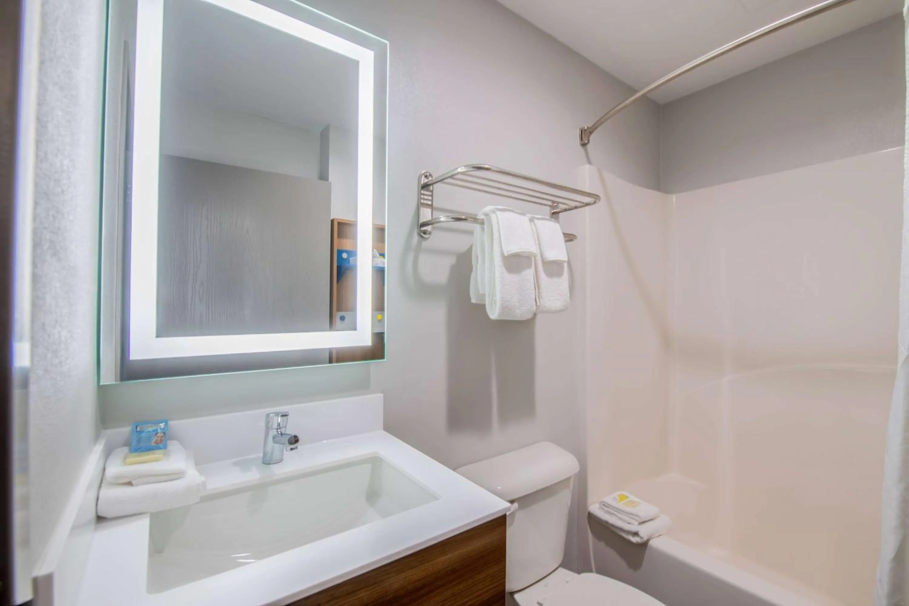 Bathroom in Microtel Inn and Suites by Wyndham Anderson SC
