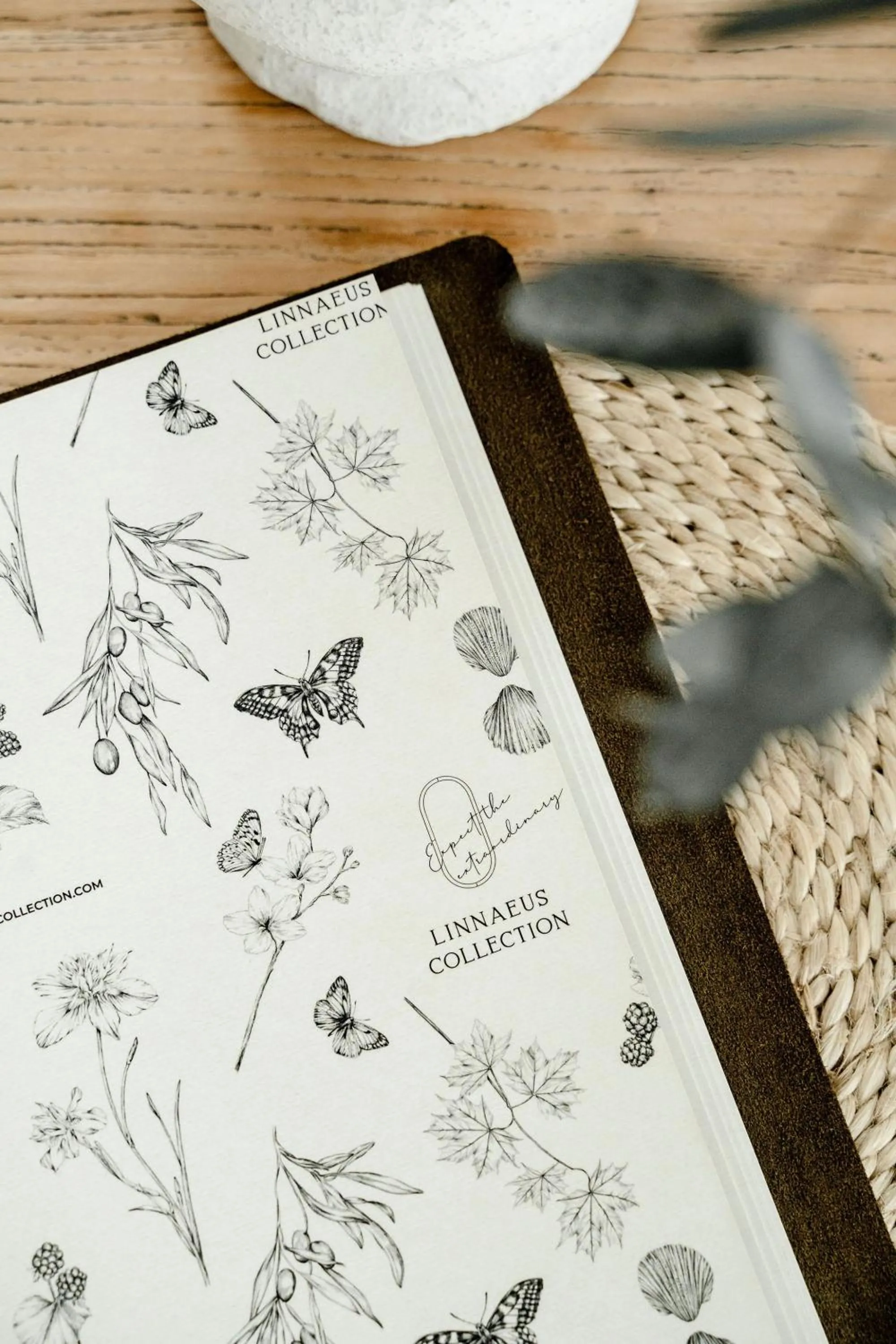 Decorative detail in Maple & Rubus, Berry - by Linnaeus Collection