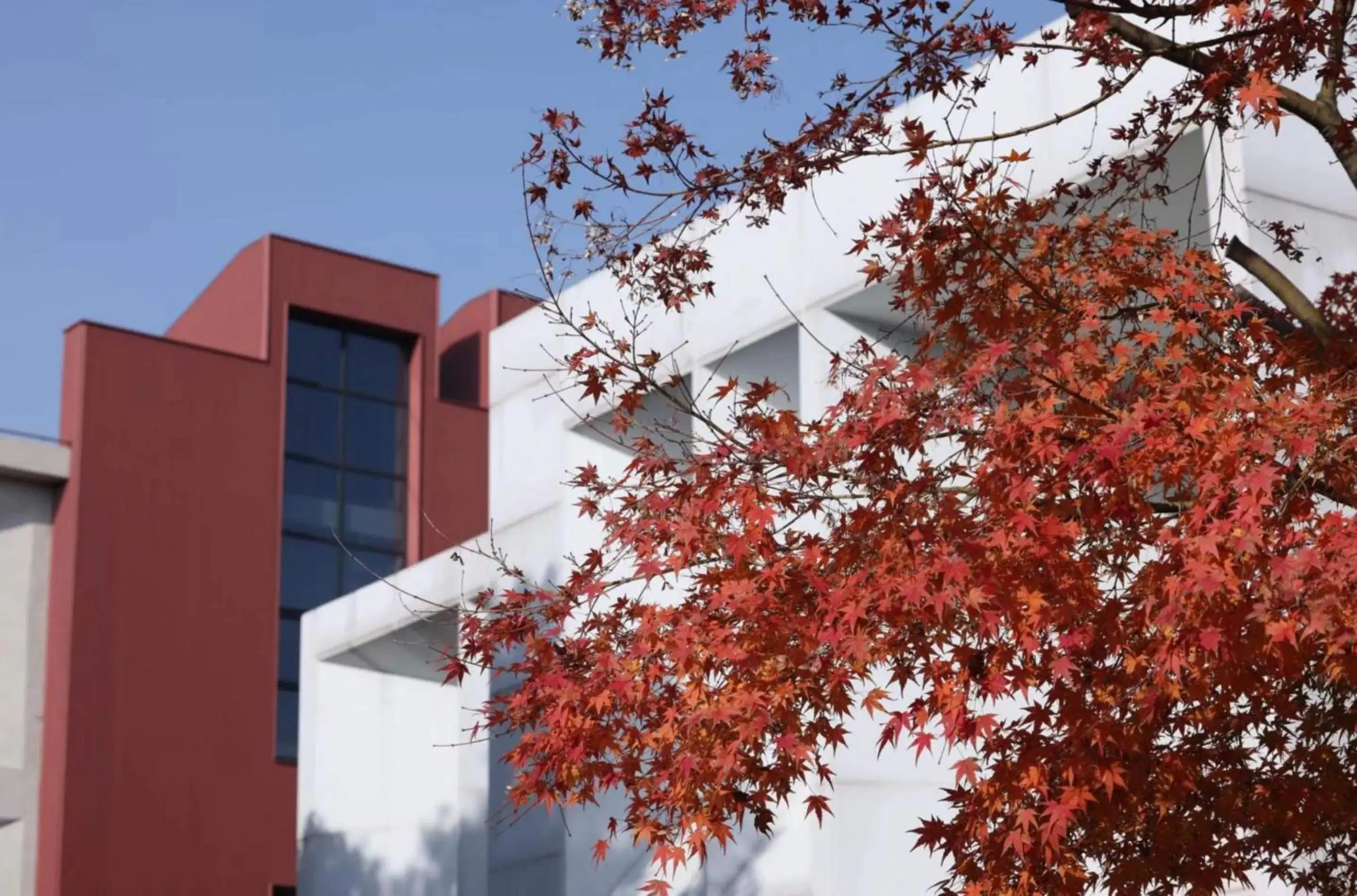 Property building in Yitel Hotel Shanghai ex Timeless Boutique House Property building in Yitel Hotel Shanghai ex Timeless Boutique House