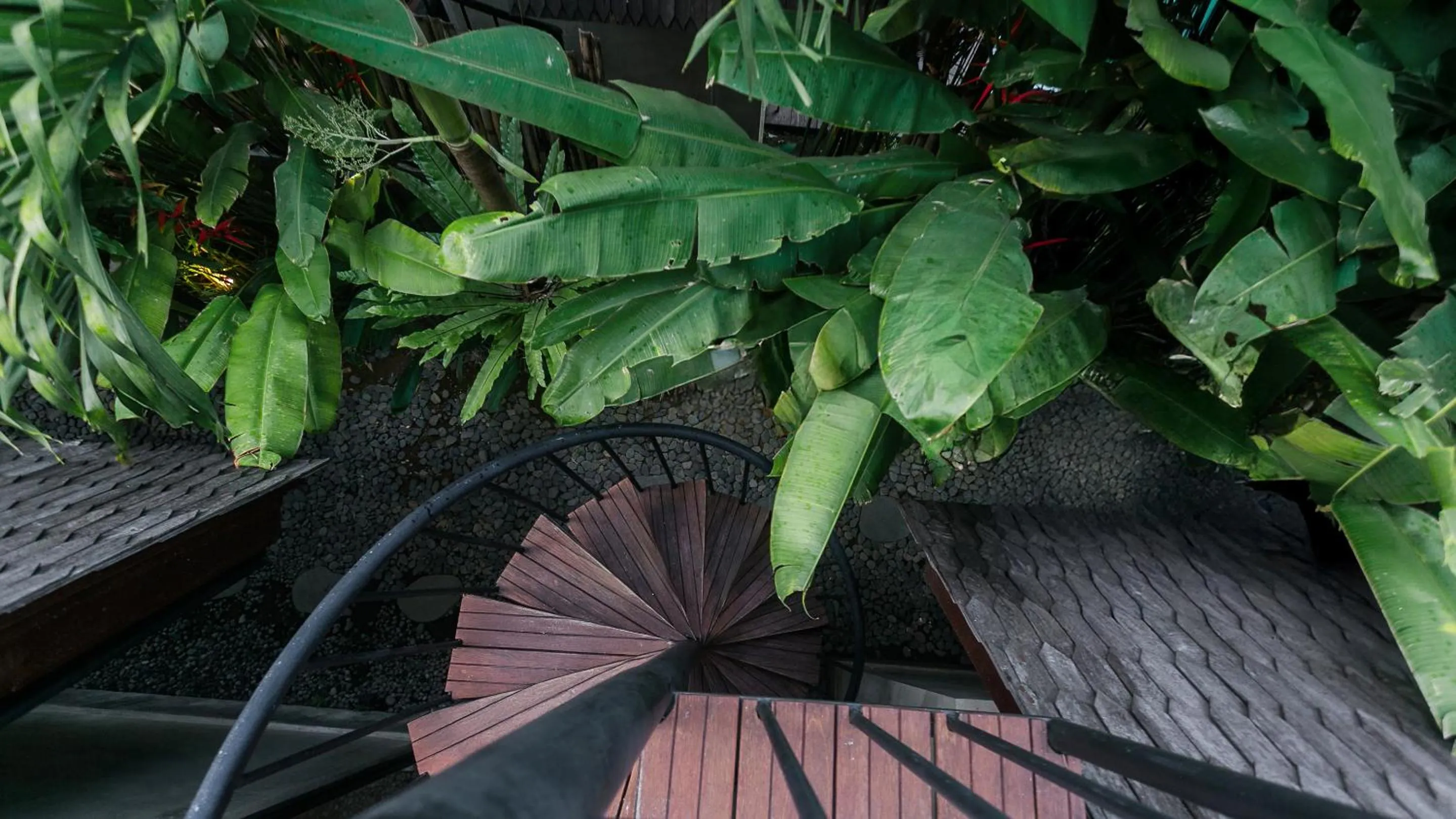 Day in Kalino Villa by Betterplace