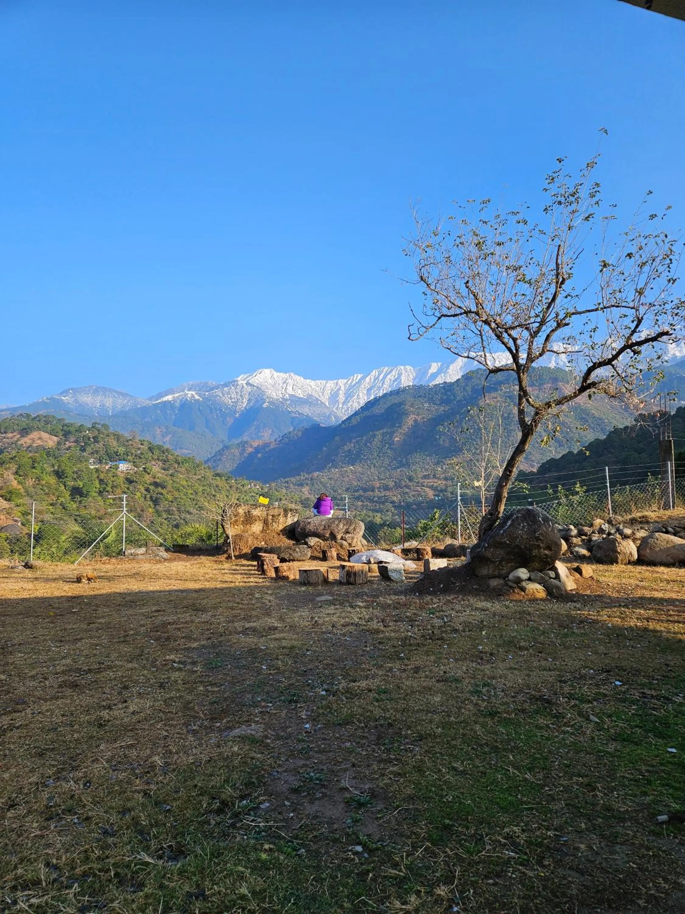 Day in Dhauladhar View Village Resort