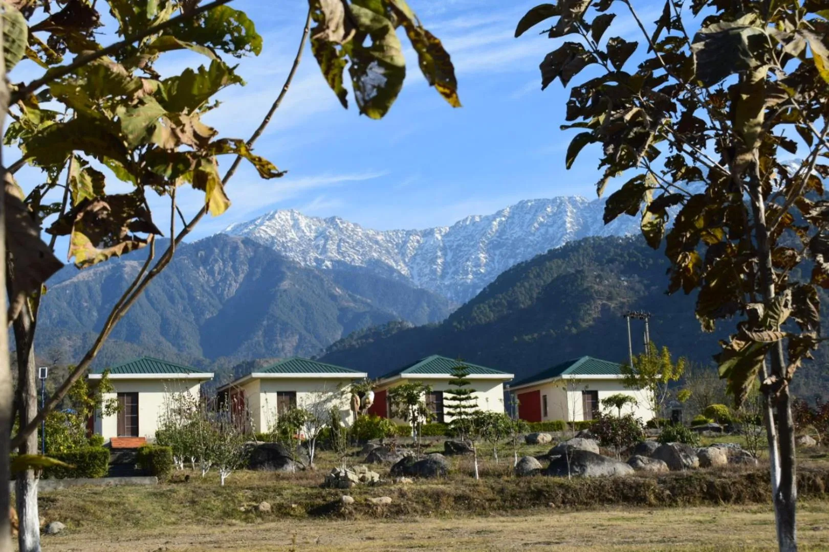 Dhauladhar View Village Resort