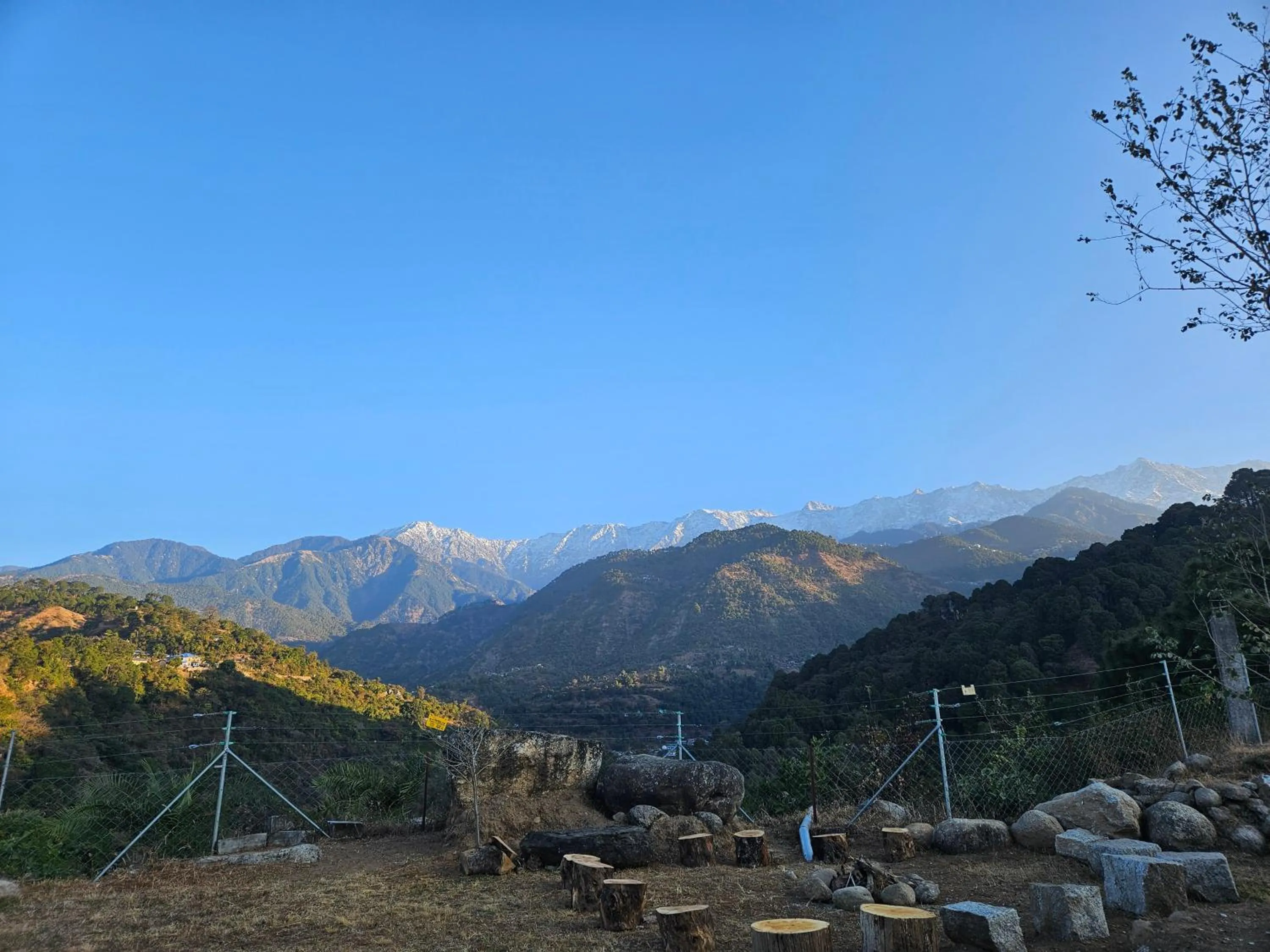 Spring in Dhauladhar View Village Resort