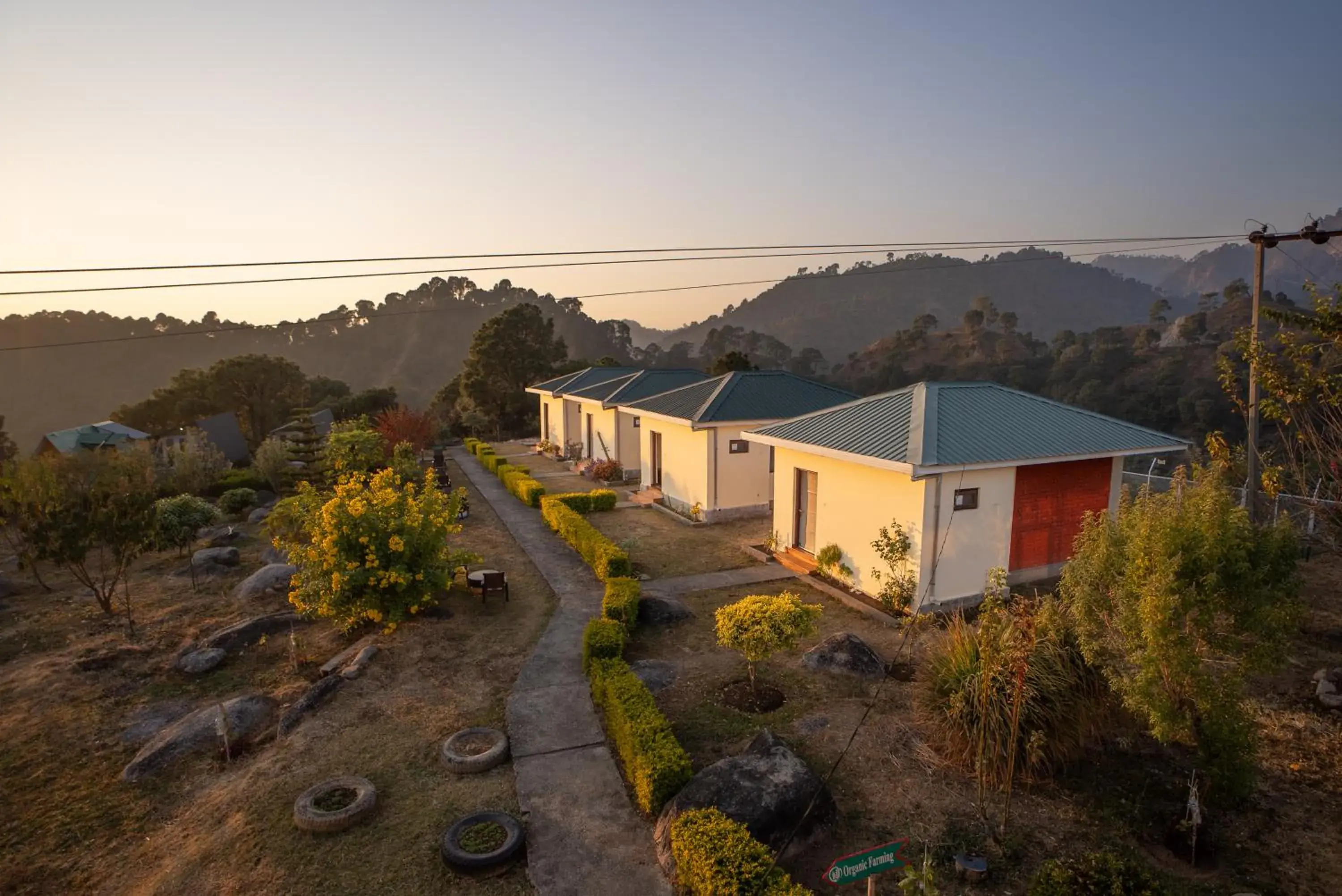 Garden in Dhauladhar View Village Resort Garden in Dhauladhar View Village Resort