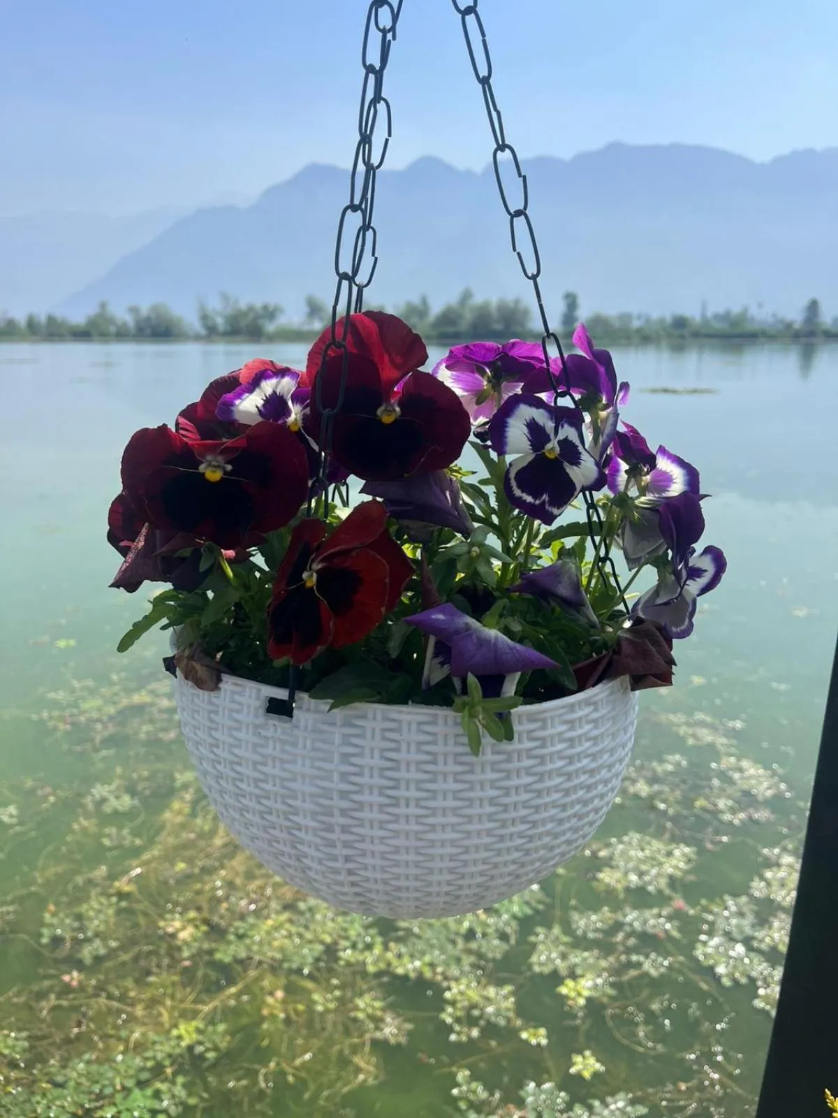 Natural landscape in Lakes and peaks