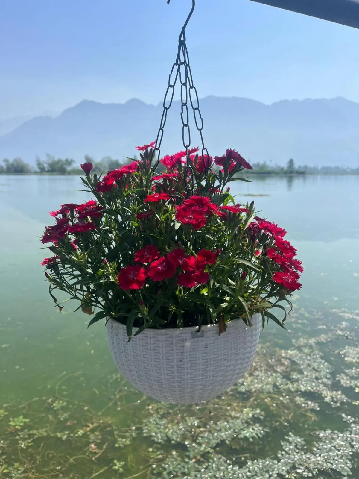 Mountain view in Lakes and peaks