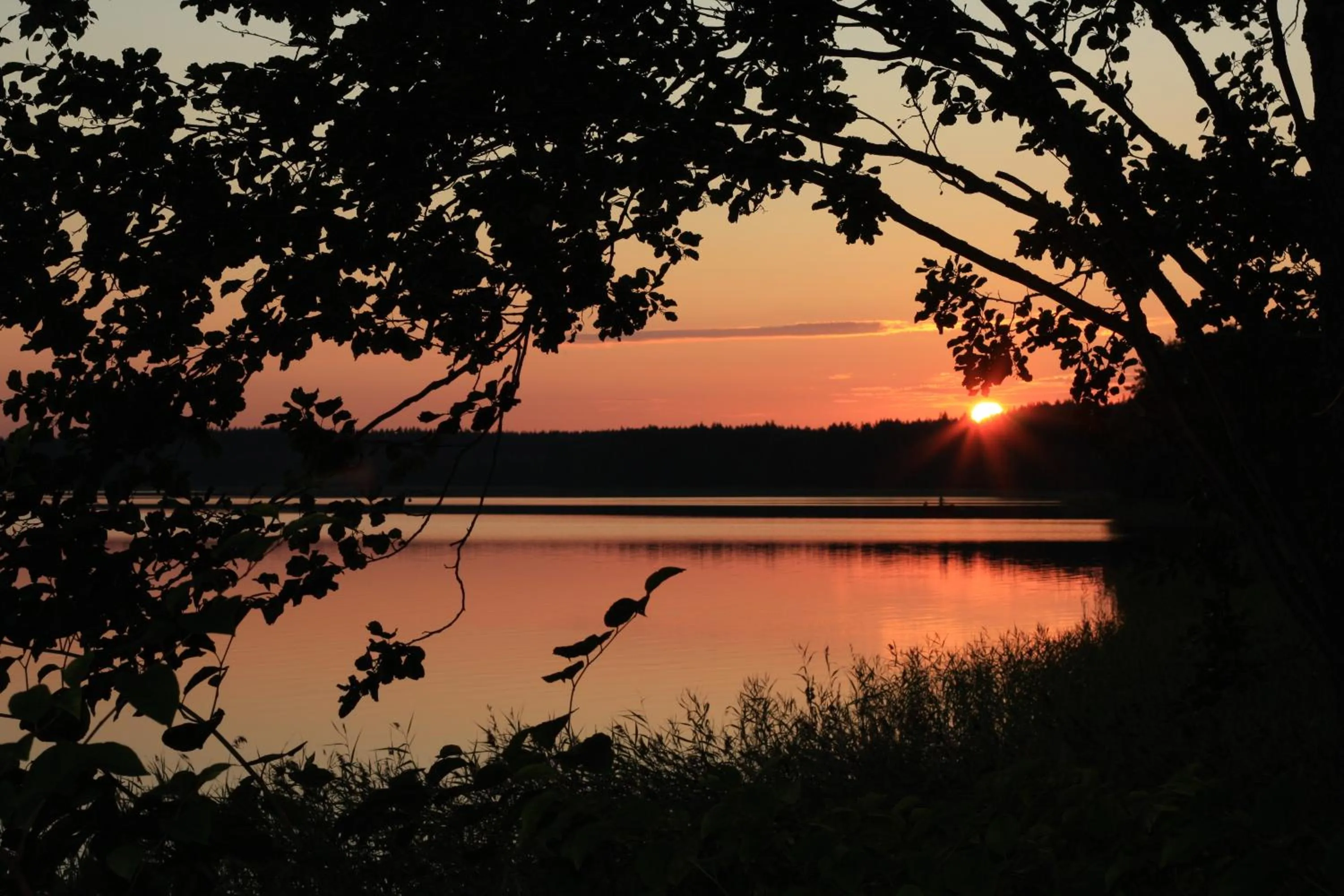 Area and facilities in Lomasaaret Cottages